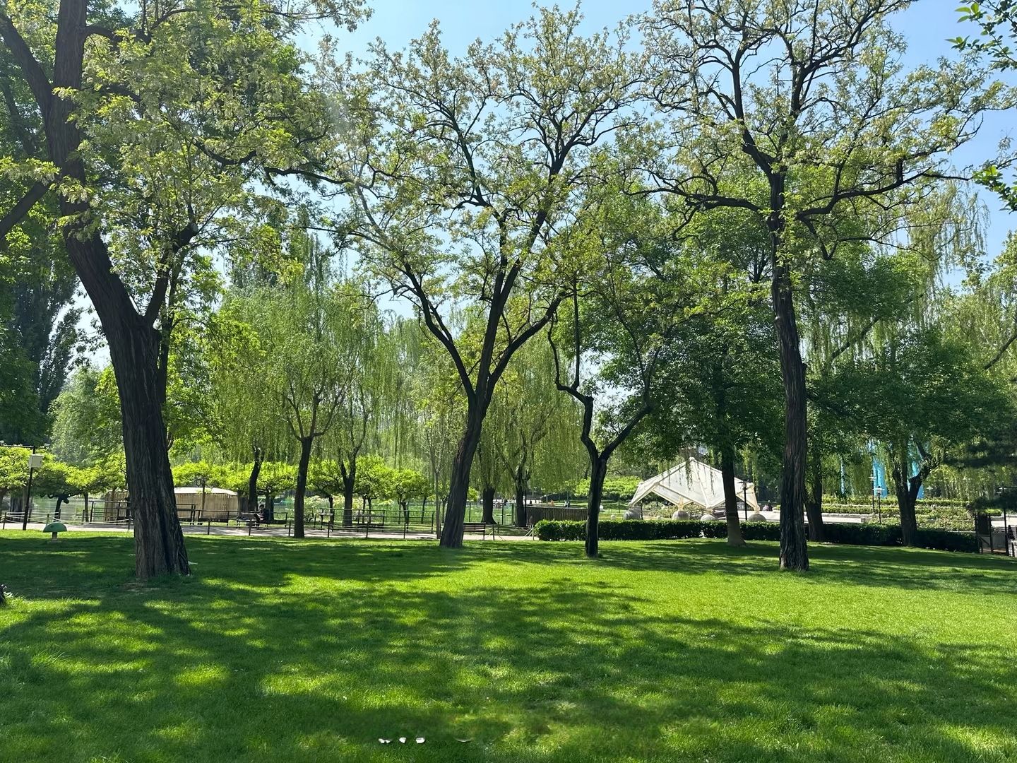 口袋公园旅行图片 1
