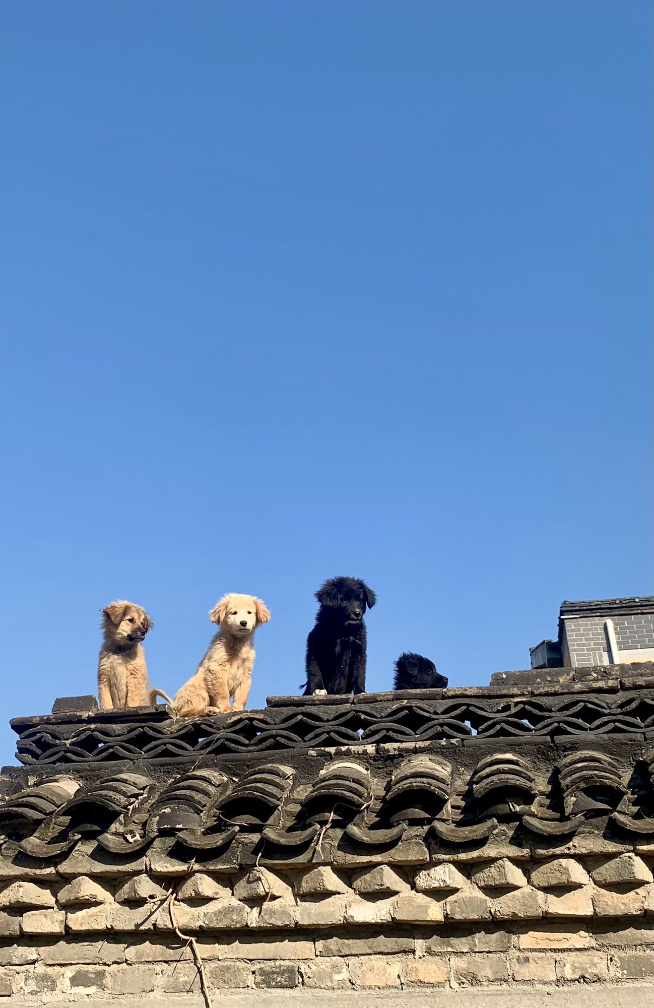 紫金古镇艺术村落景区旅行图片 2