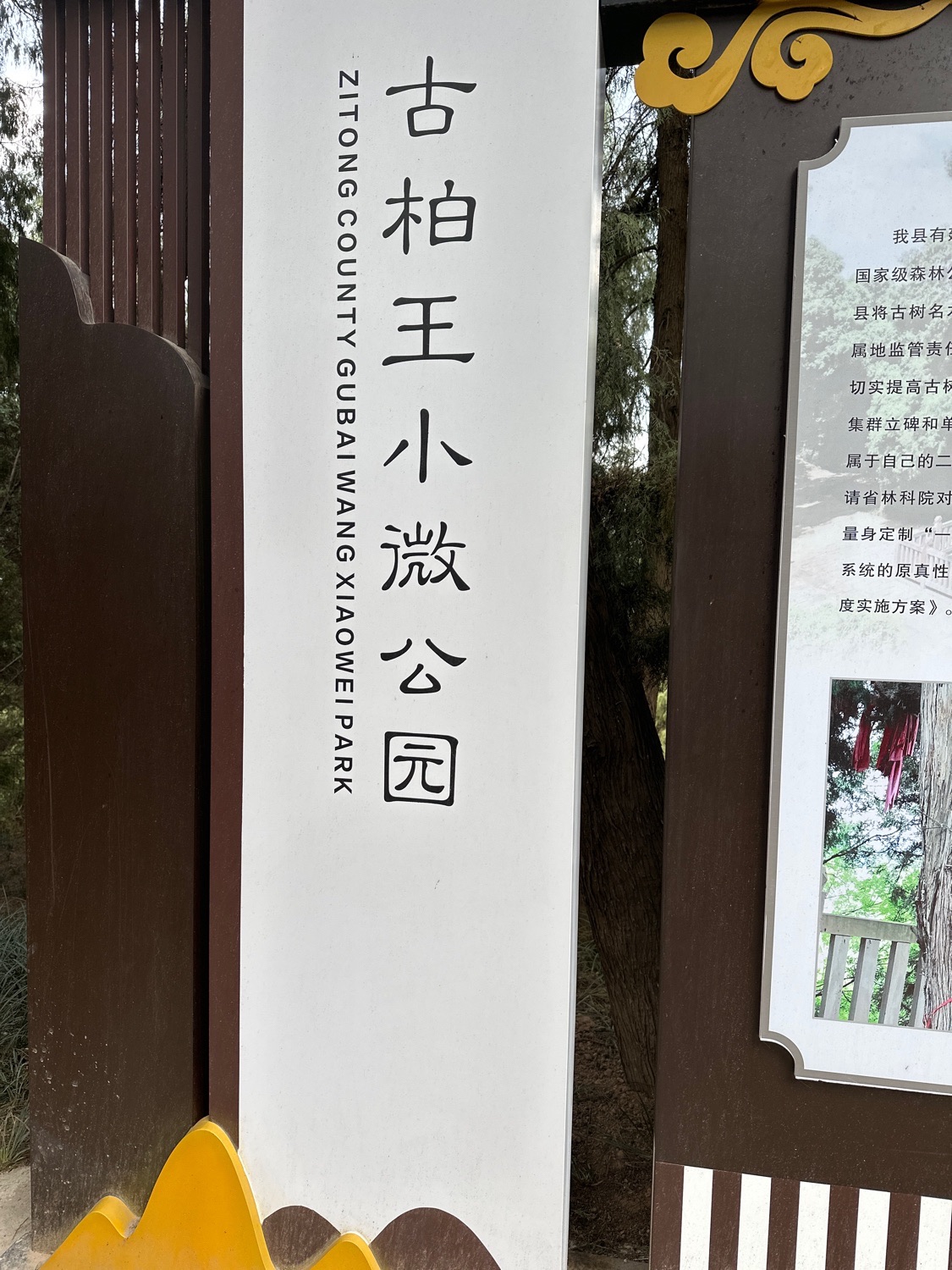 古柏王小微公园旅行图片 3