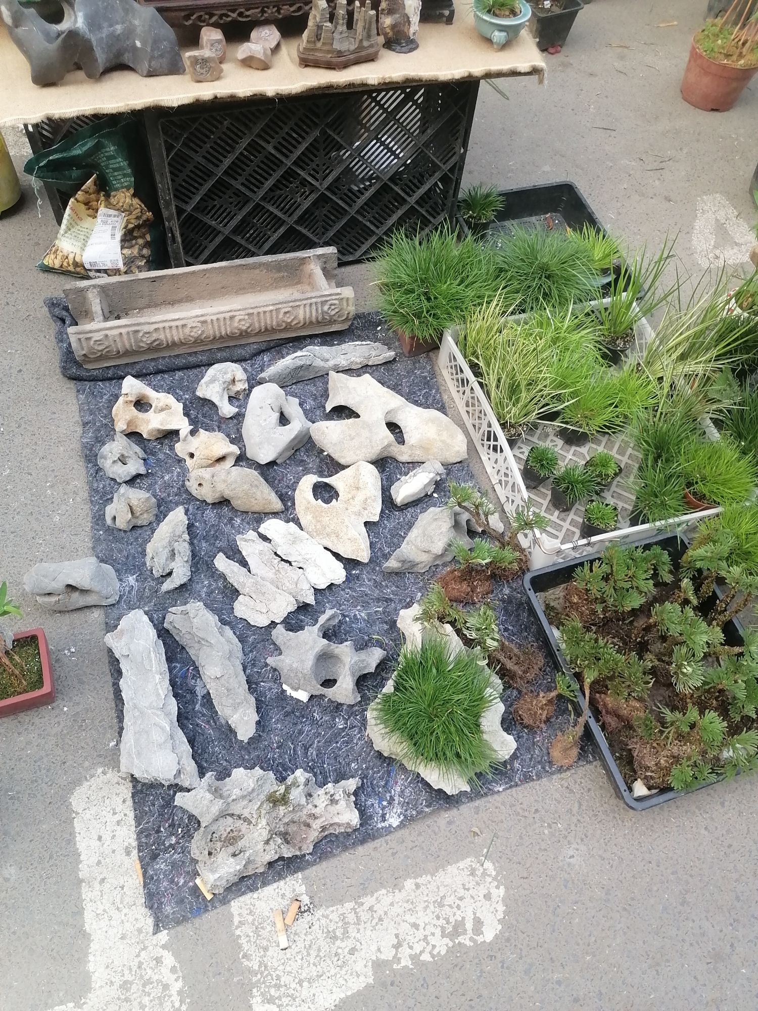 锦天淮南奇石古玩花鸟虫鱼市场(9号楼交易大厅西北角)