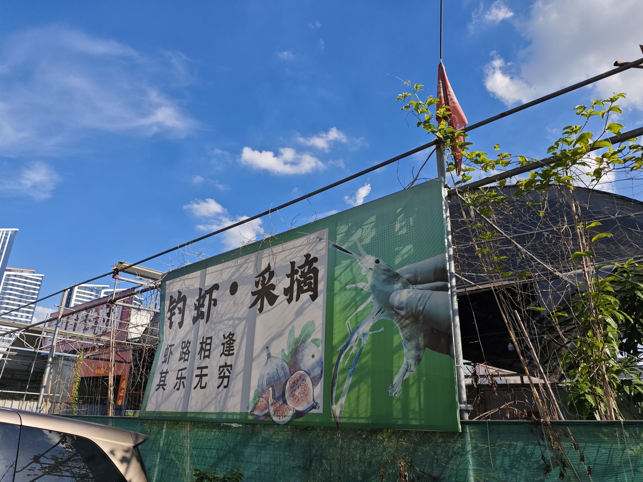 聚民钓虾场