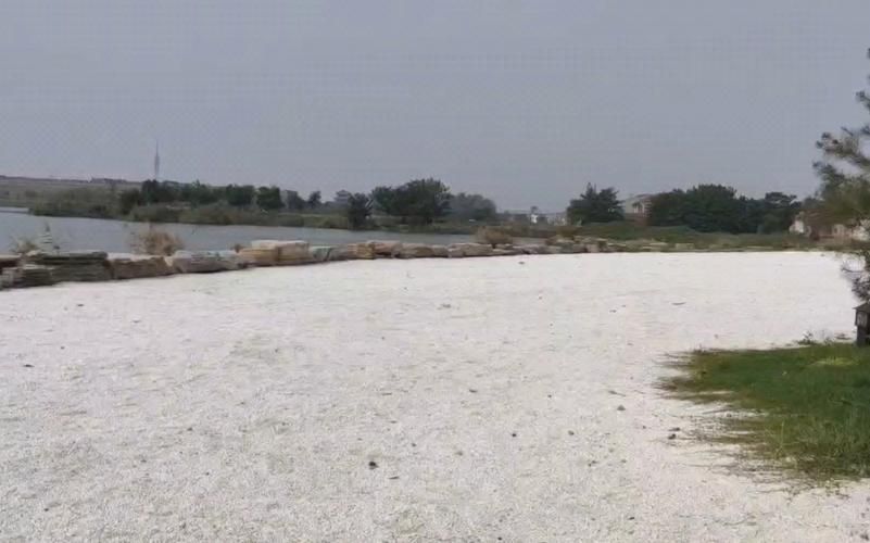 商丘白沙滩旅行图片 1