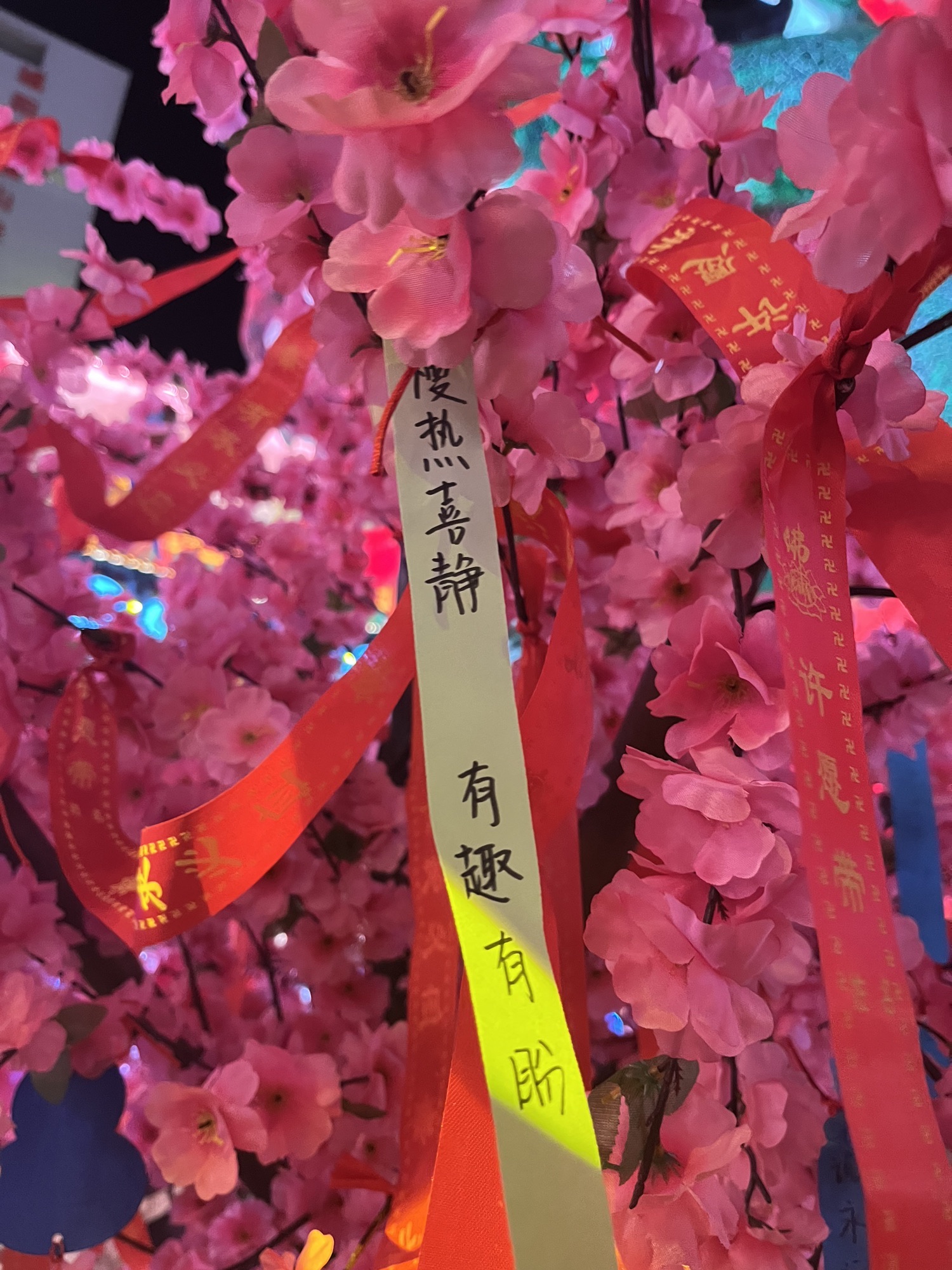 青岛明月·山海间旅行图片 1