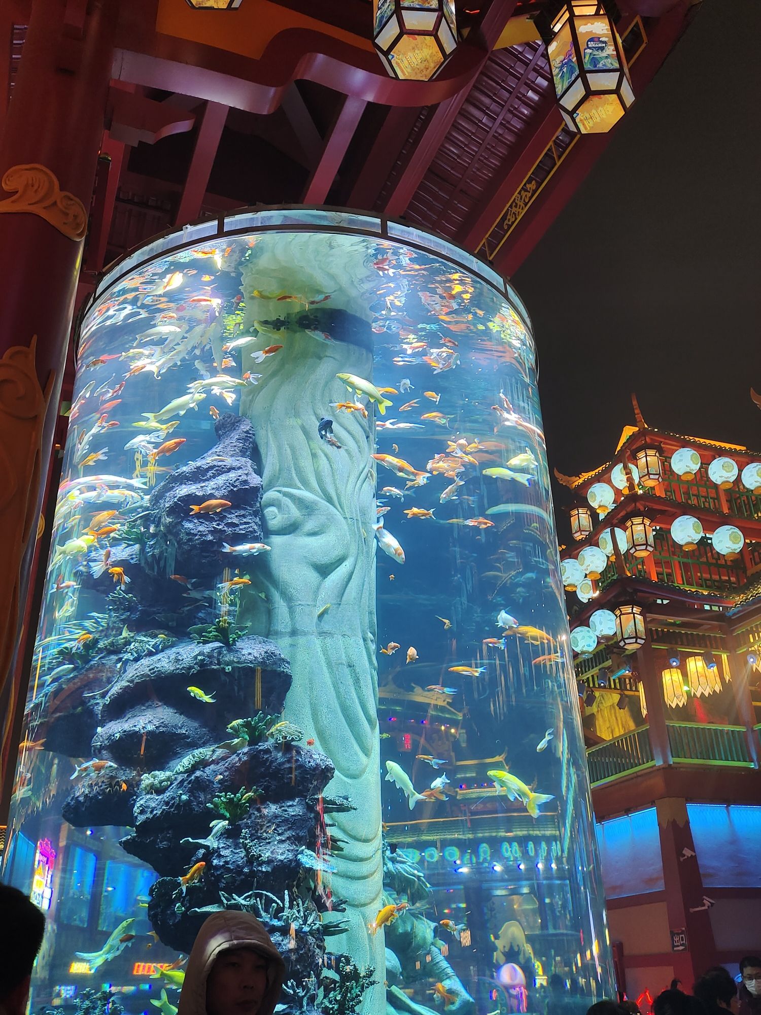 青岛明月·山海间旅行图片 1