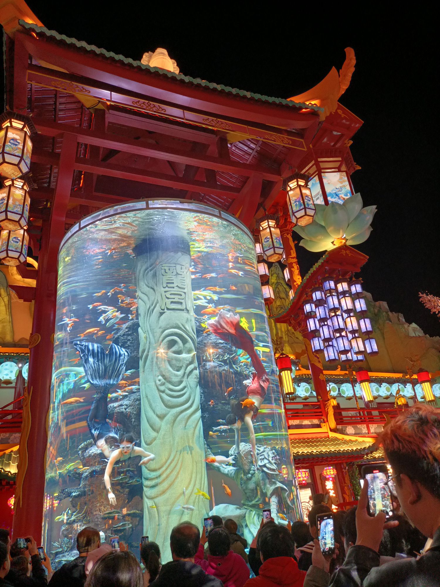 青岛明月·山海间旅行图片 1