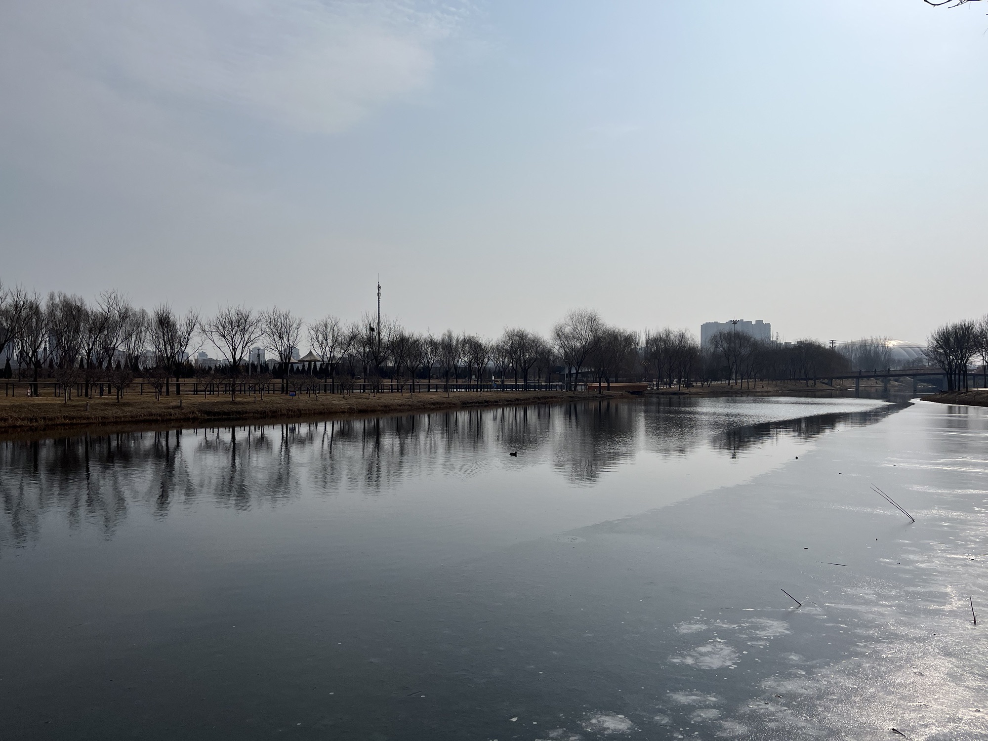 枣强县八景生态公园旅行图片 3