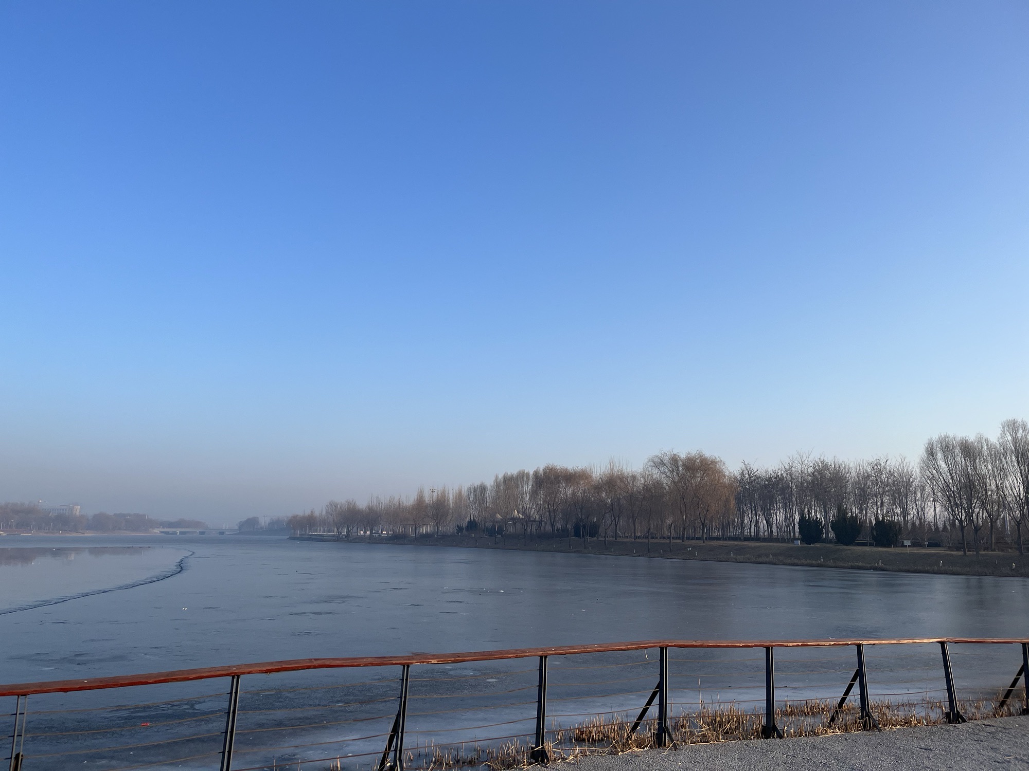 枣强县八景生态公园旅行图片 2