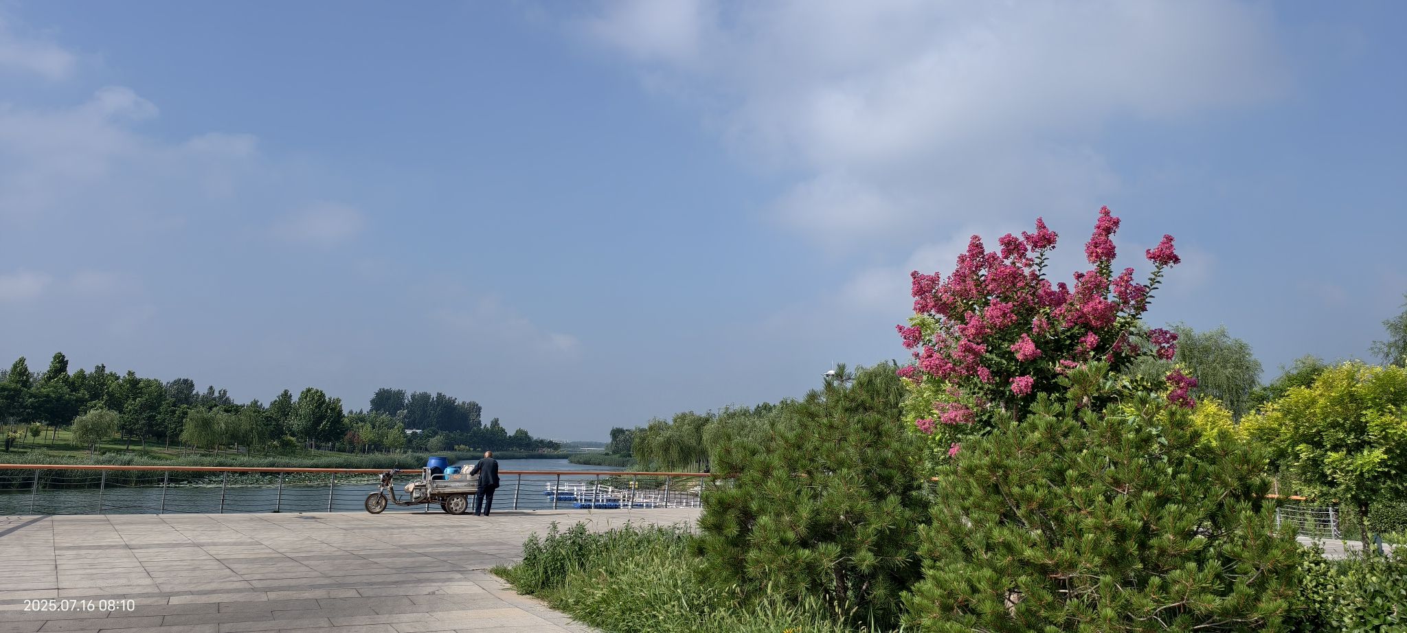 枣强县八景生态公园