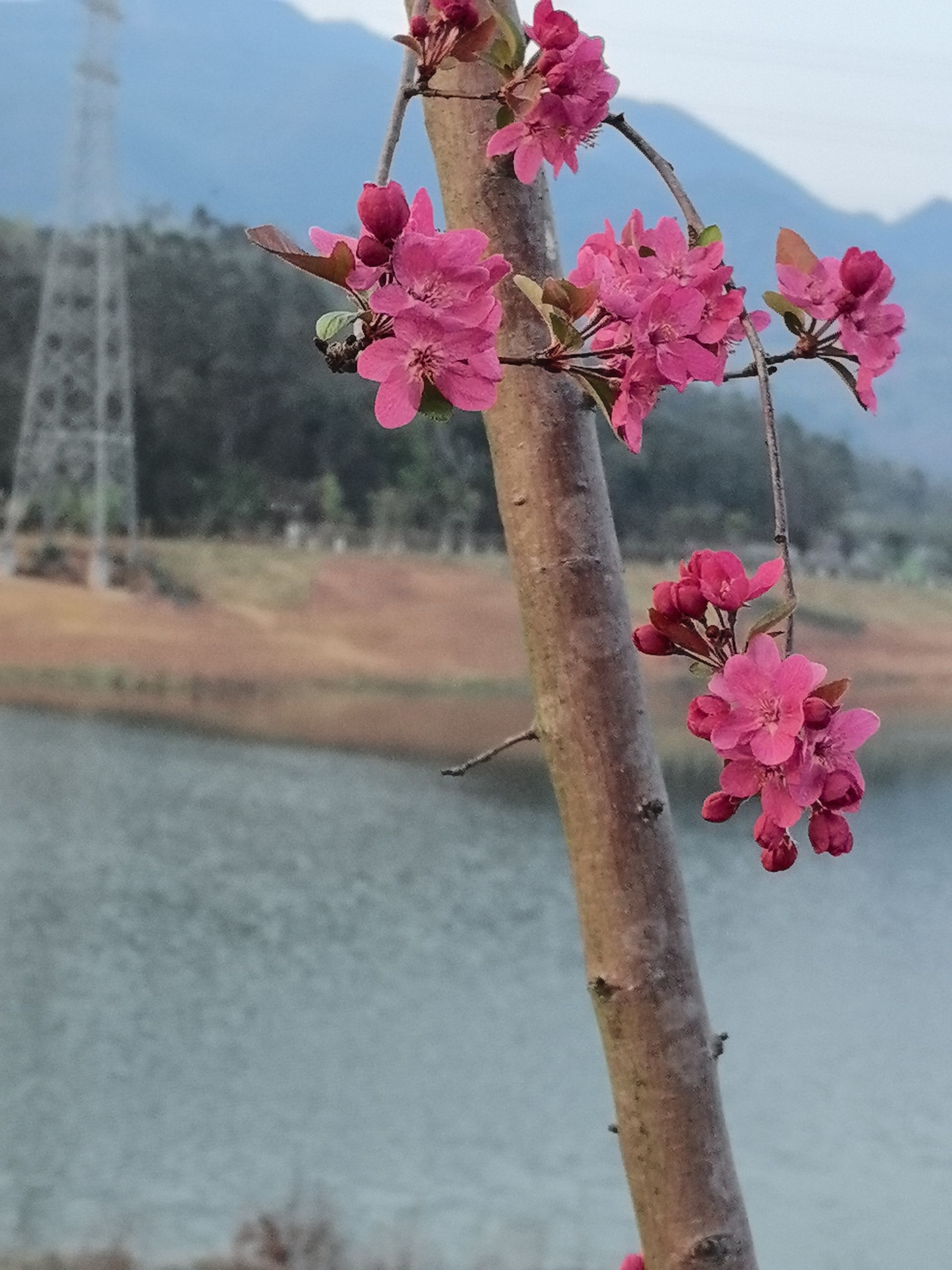 月亮湖生态湿地公园旅行图片 1