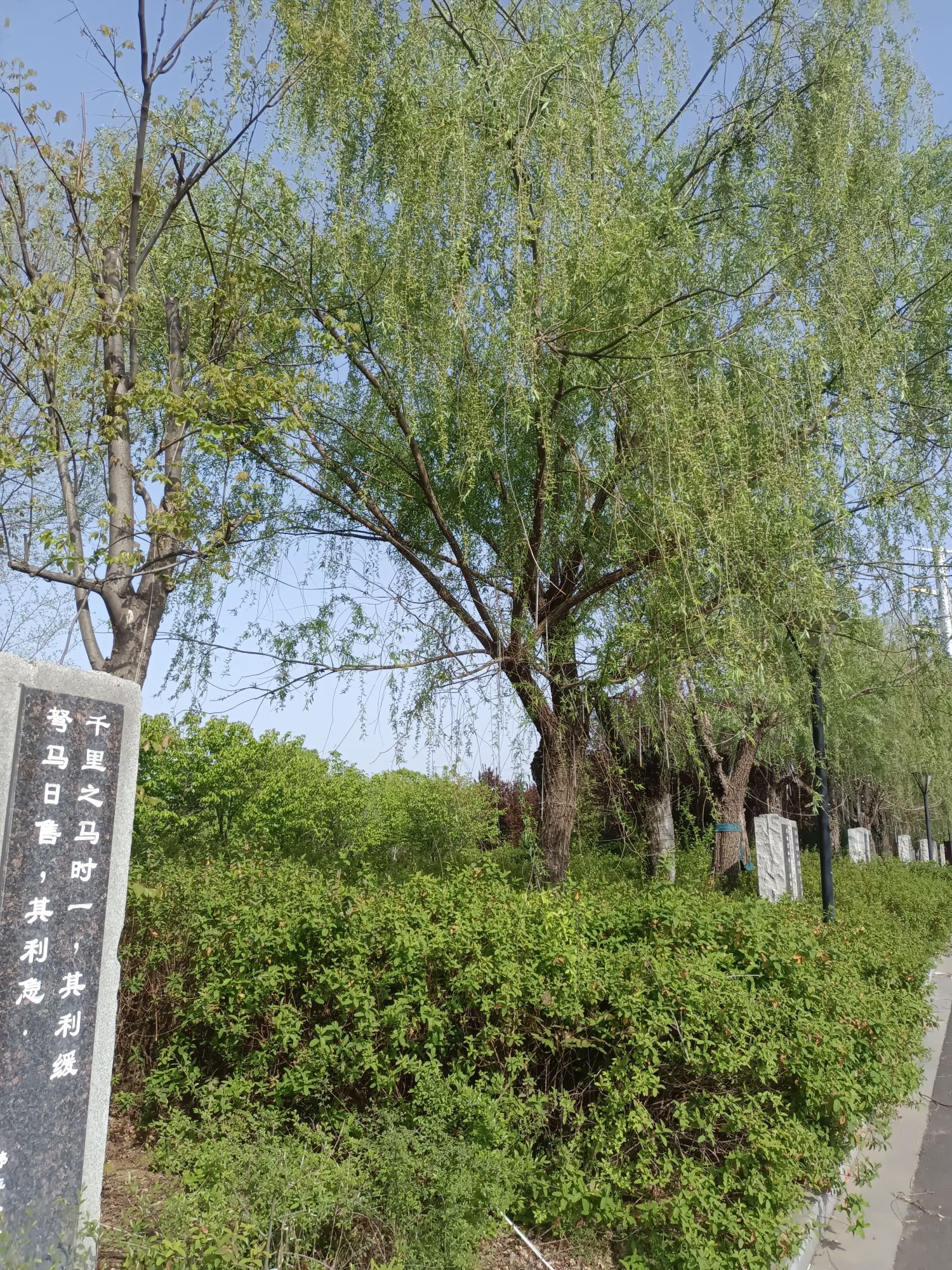 法家文化园旅行图片 3