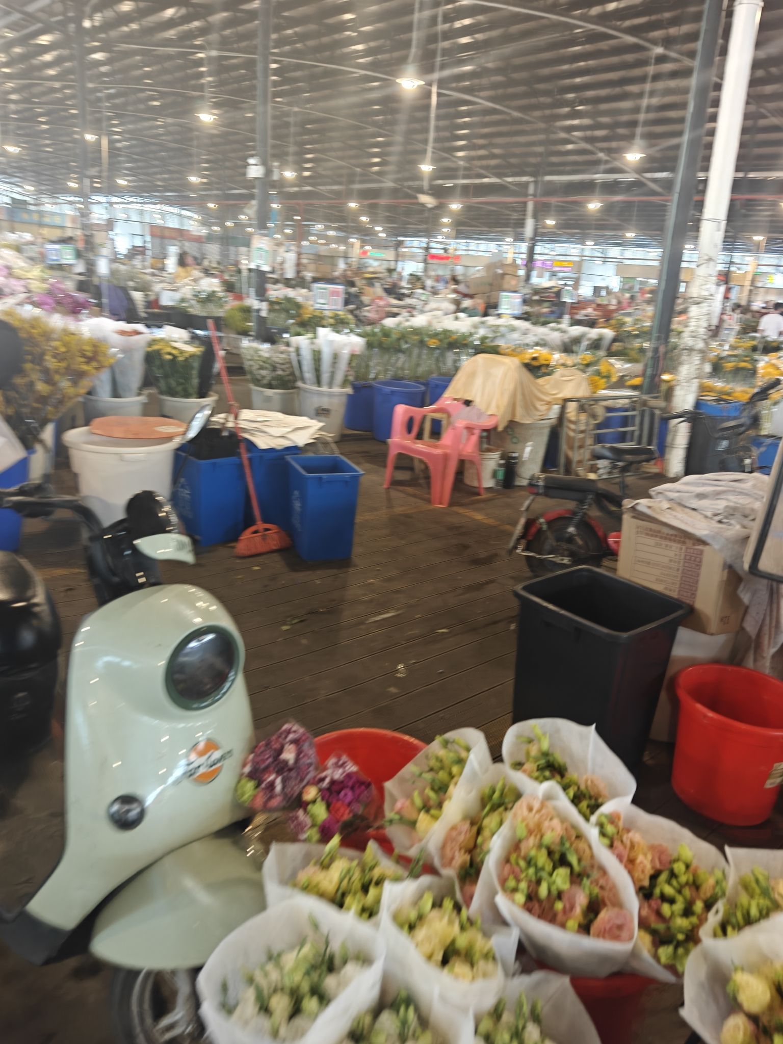 广州岭南花卉市场基地