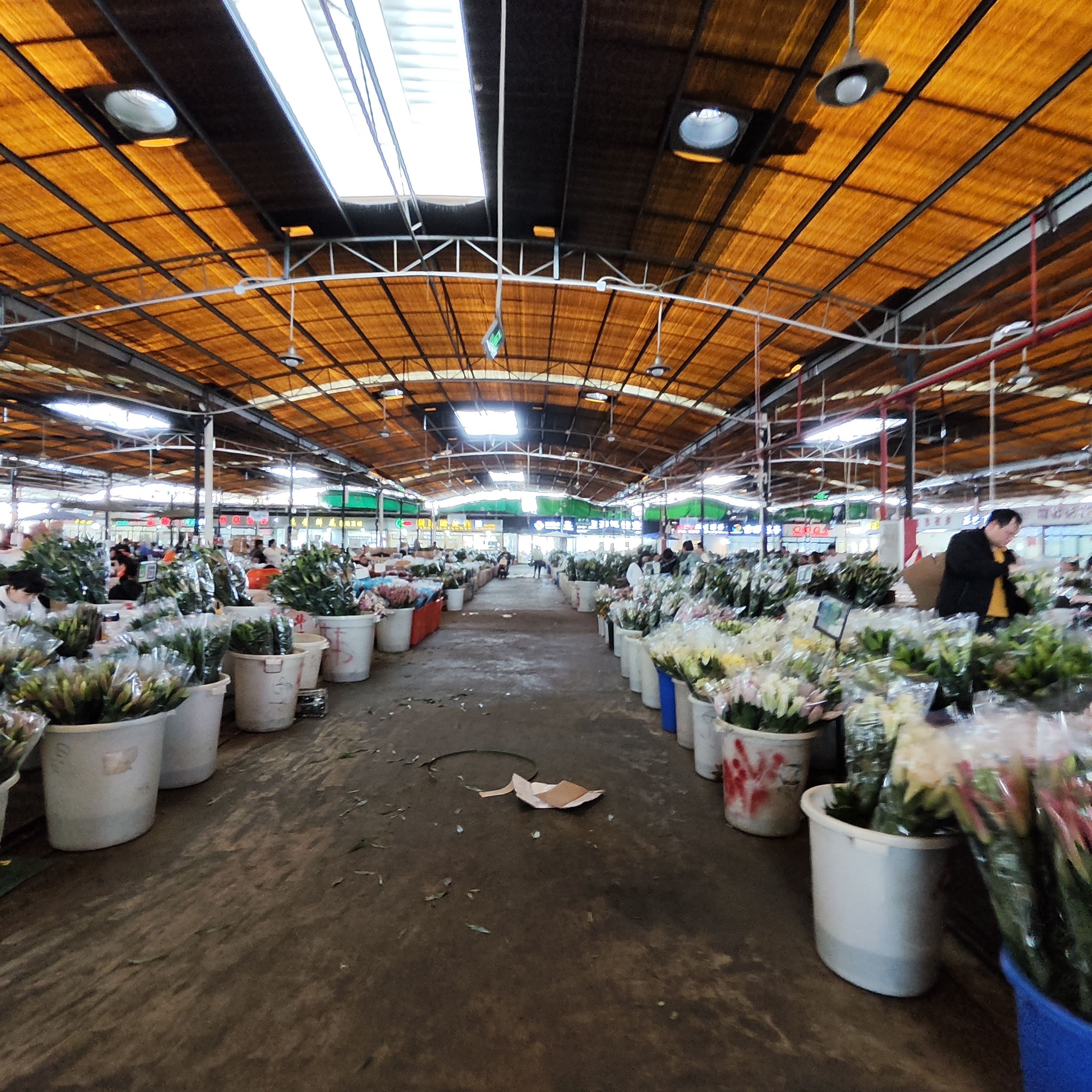 广州岭南花卉市场基地