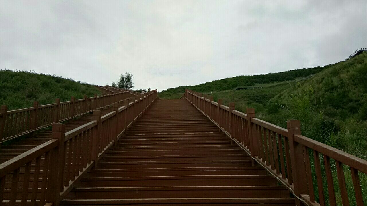 映山红生态公园旅行图片 2
