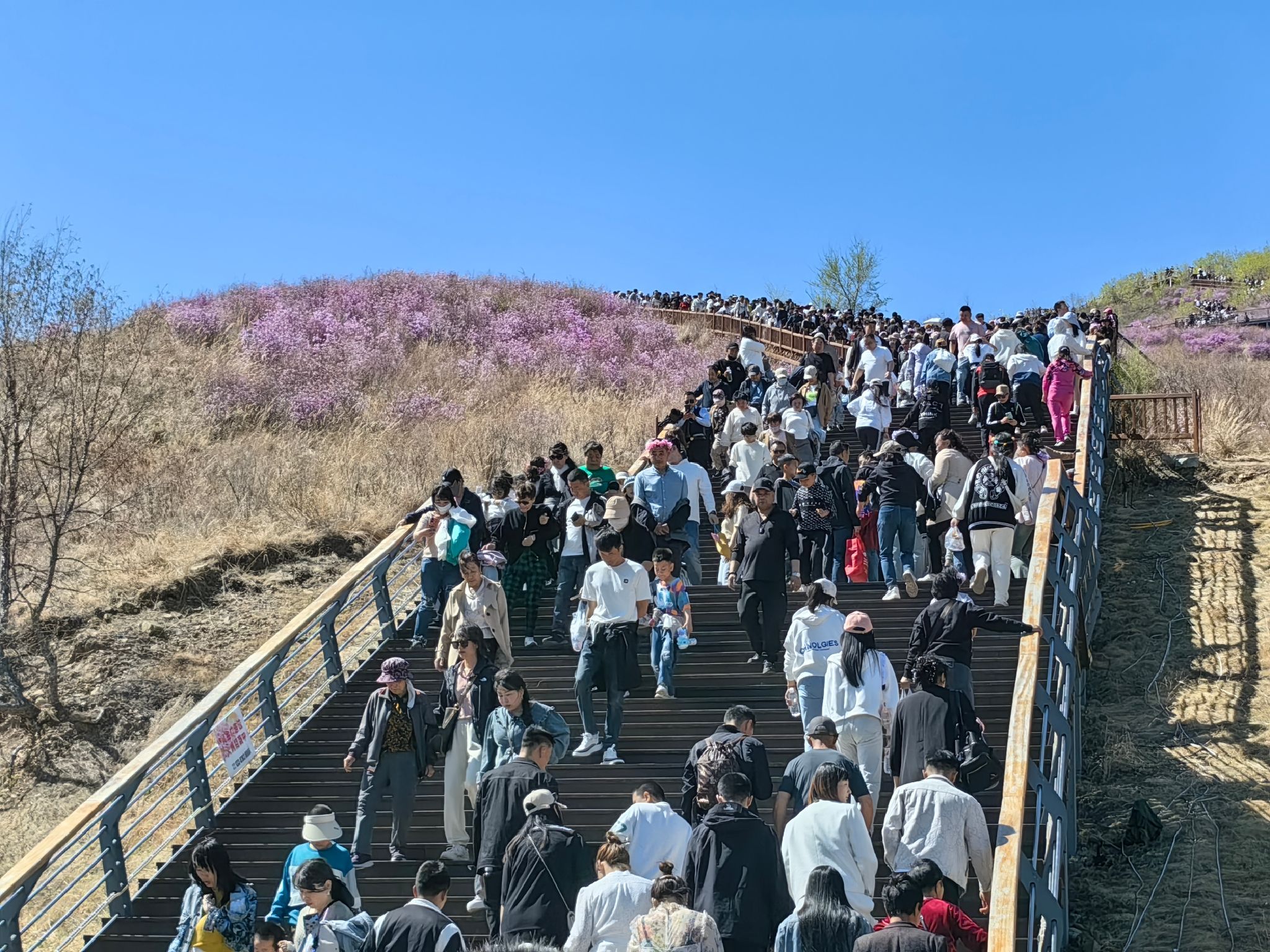 映山红生态公园旅行图片 1