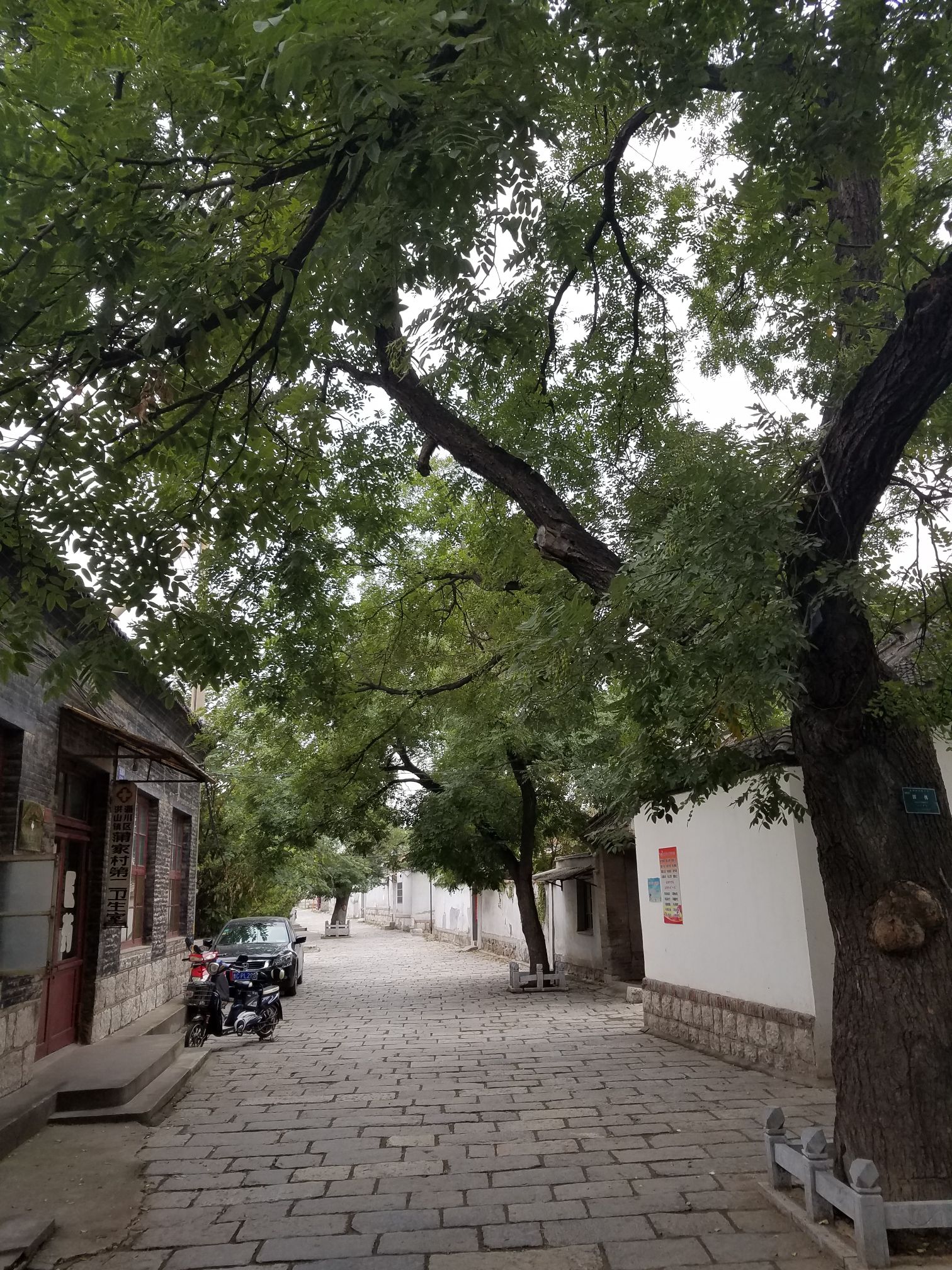 蒲松龄文博馆旅行图片 3