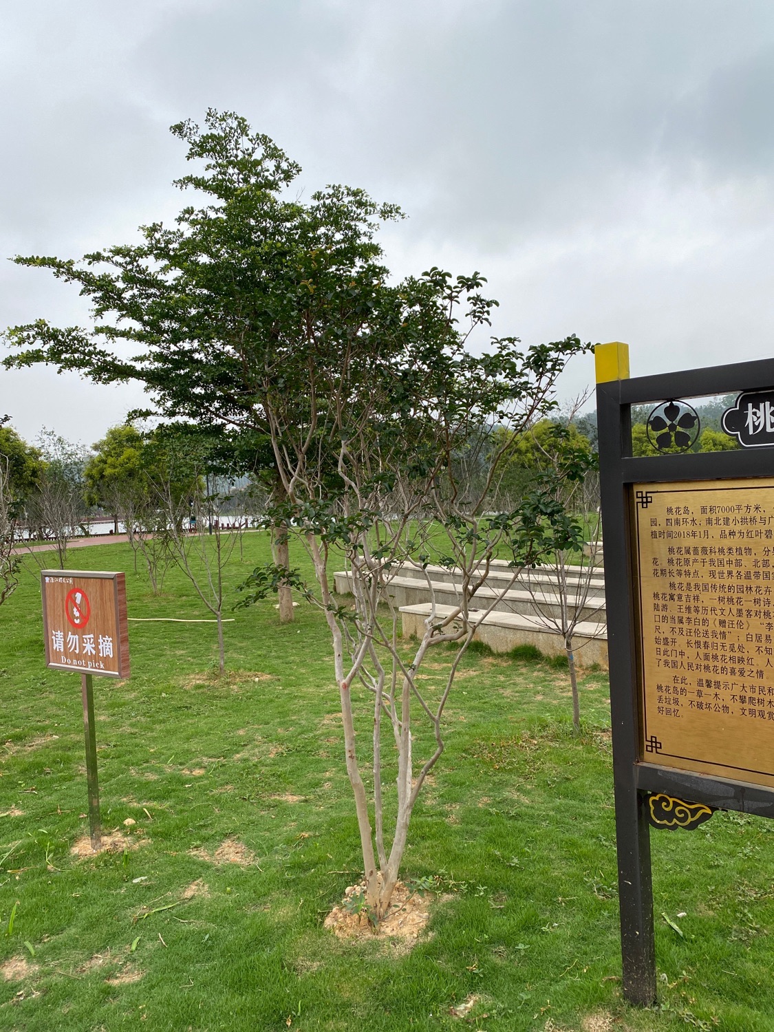 桃花岛旅行图片 3