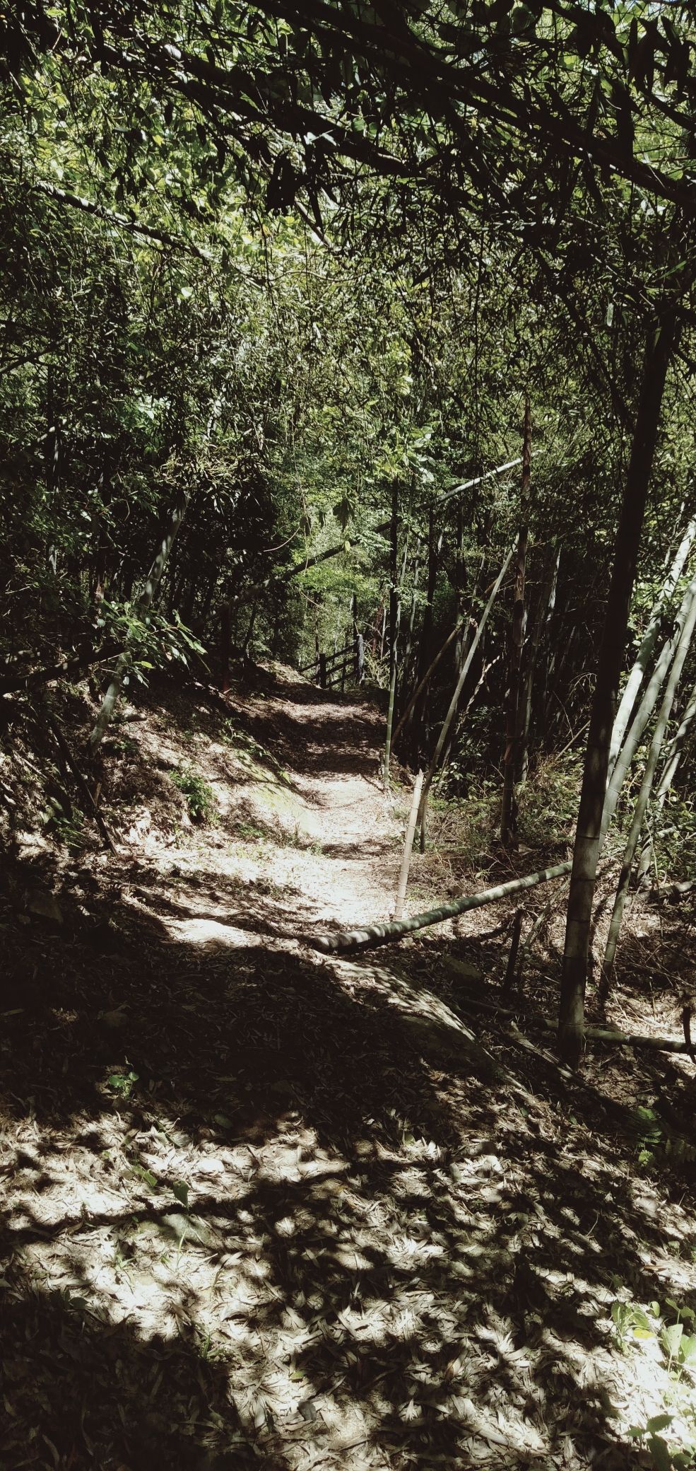 杭坞山游步道旅行图片 1