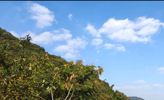 杭坞山游步道旅行图片 3