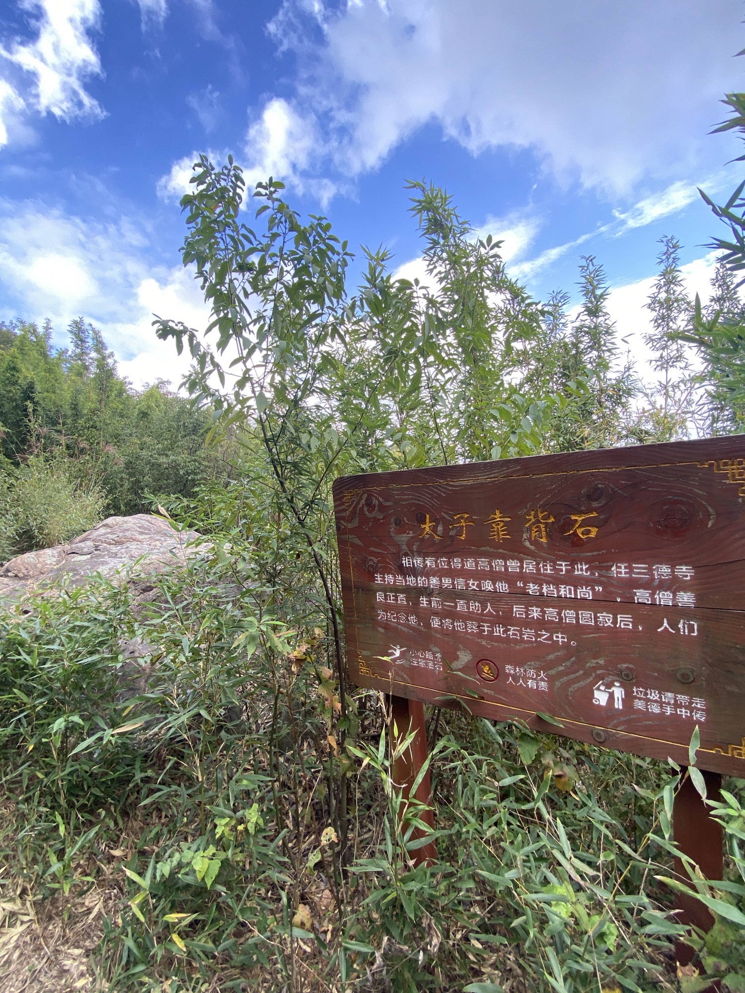 杭坞山游步道旅行图片 1