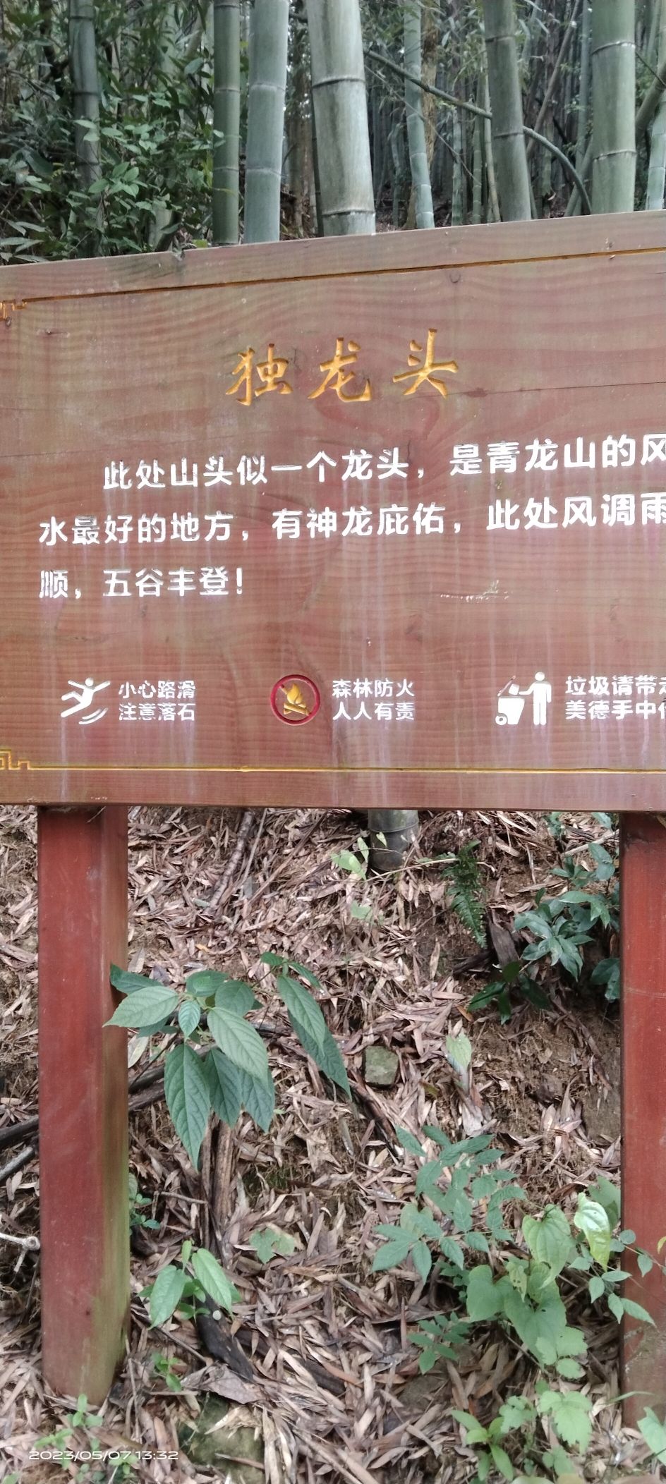 杭坞山游步道旅行图片 2