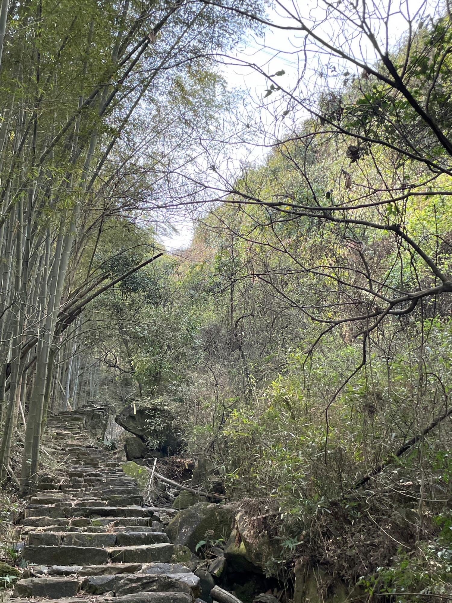 三府古道游步道旅行图片 3