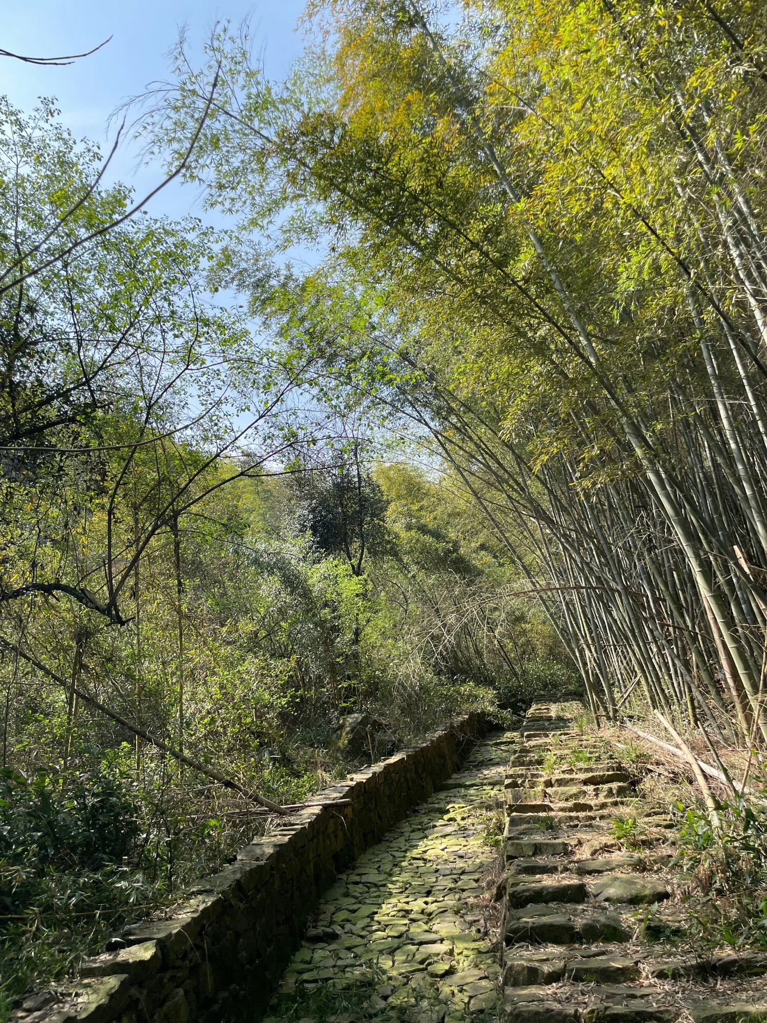 三府古道游步道旅行图片 2
