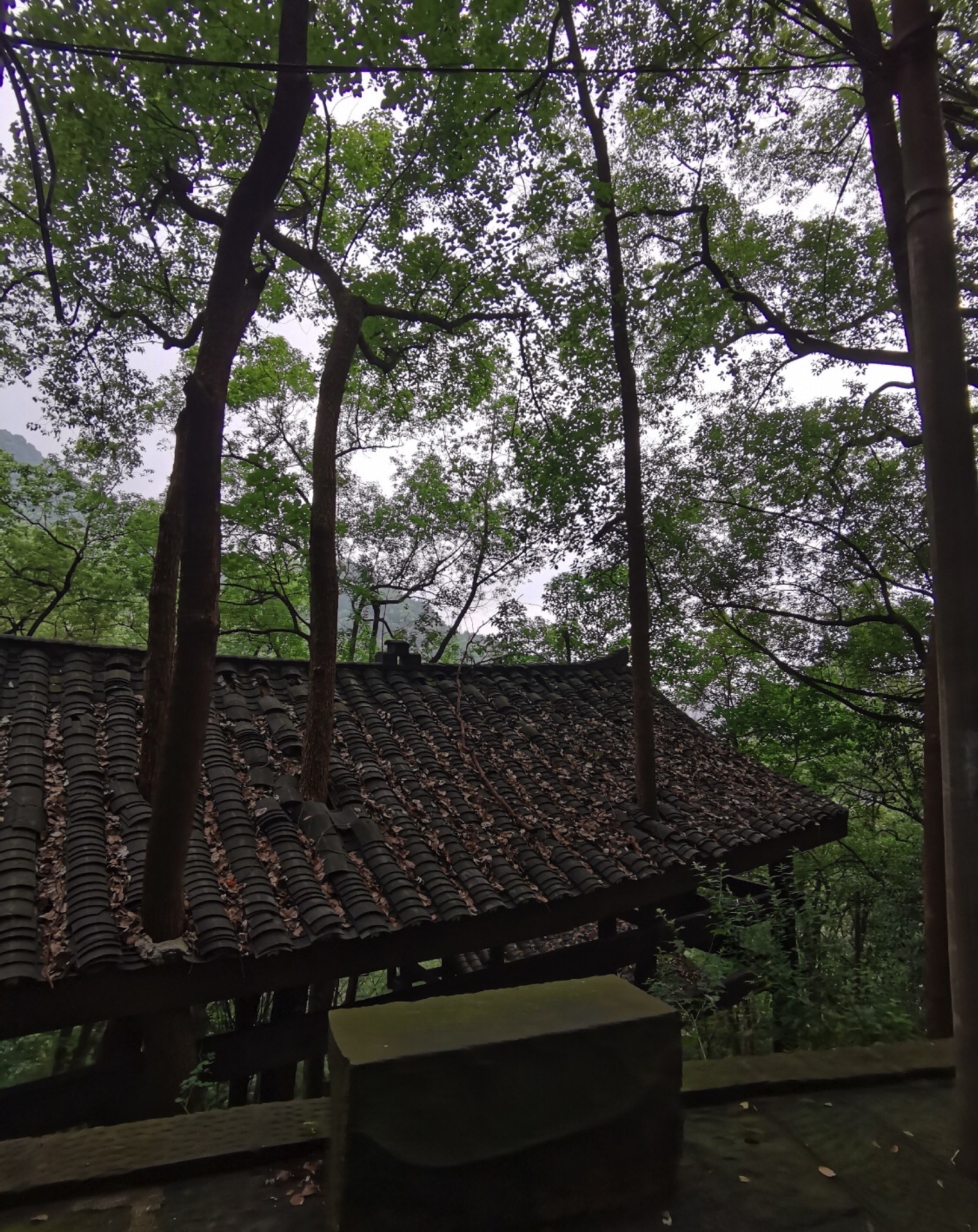 三府古道游步道旅行图片 1