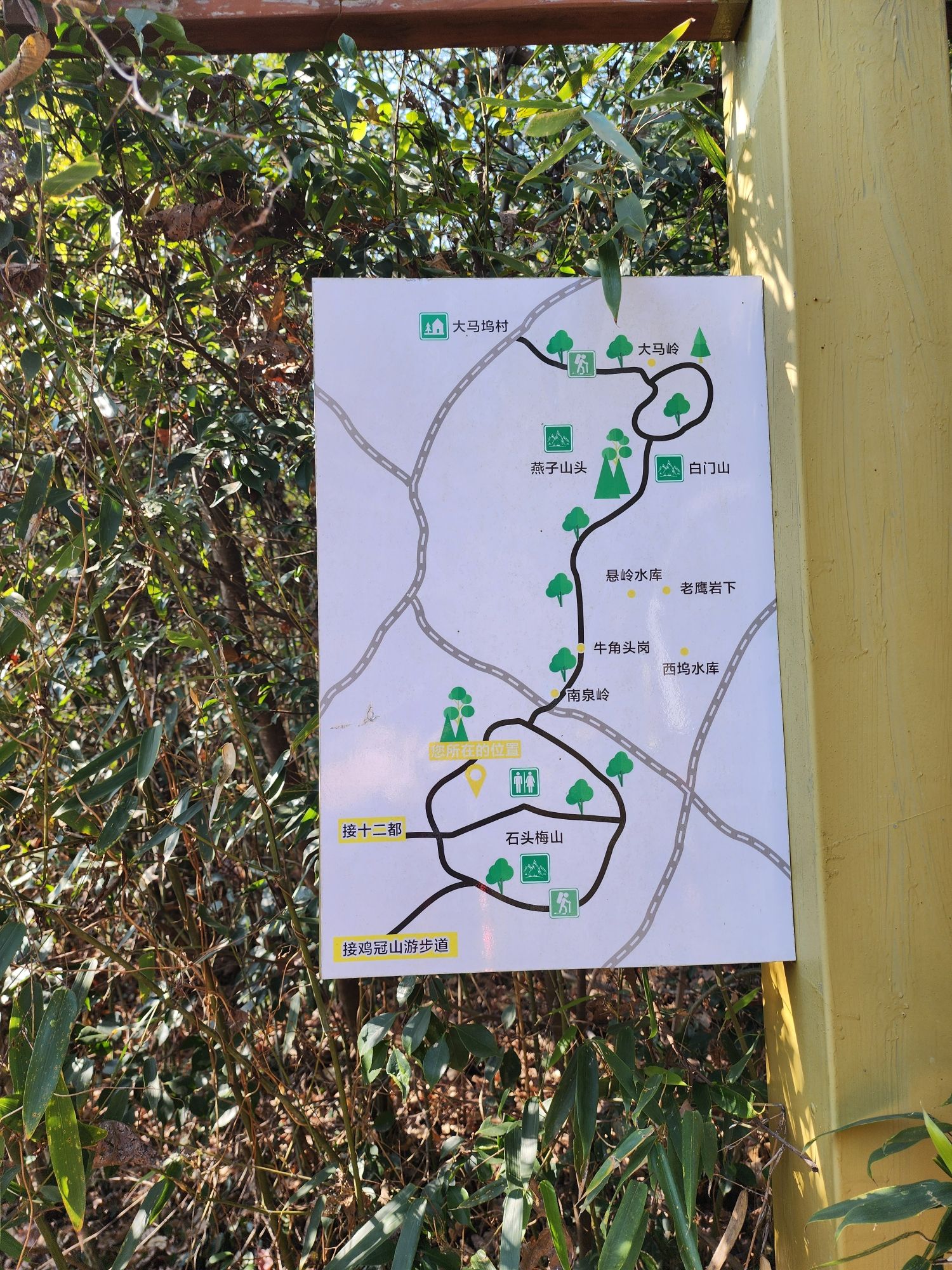 青龙谷游步道旅行图片 2
