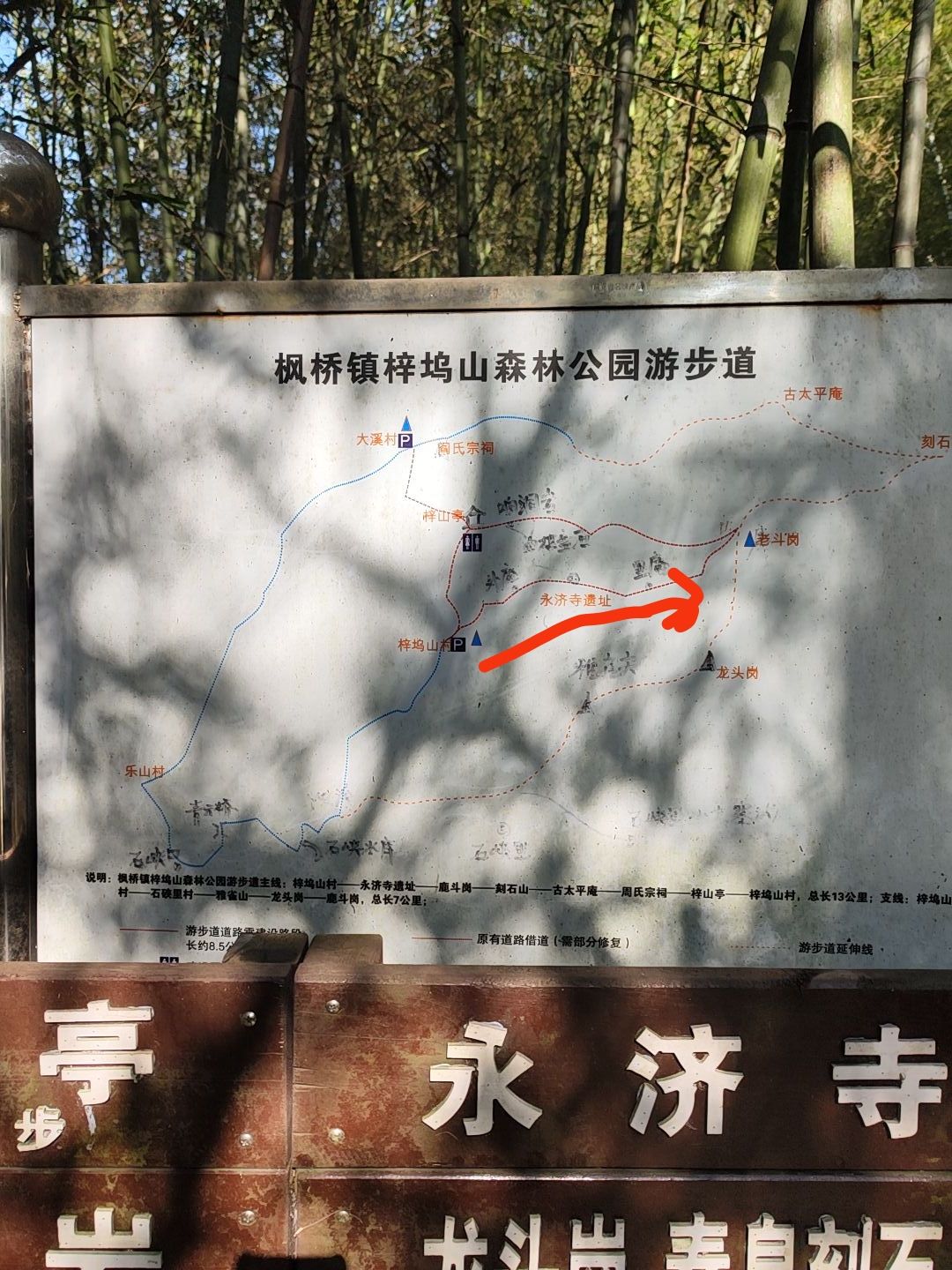 梓坞山森林公园游步道旅行图片 2
