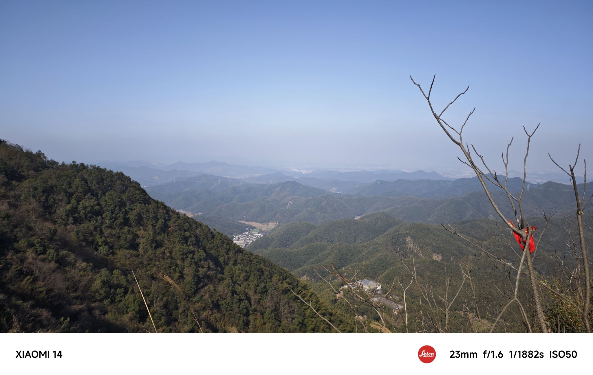梓坞山森林公园游步道旅行图片 2