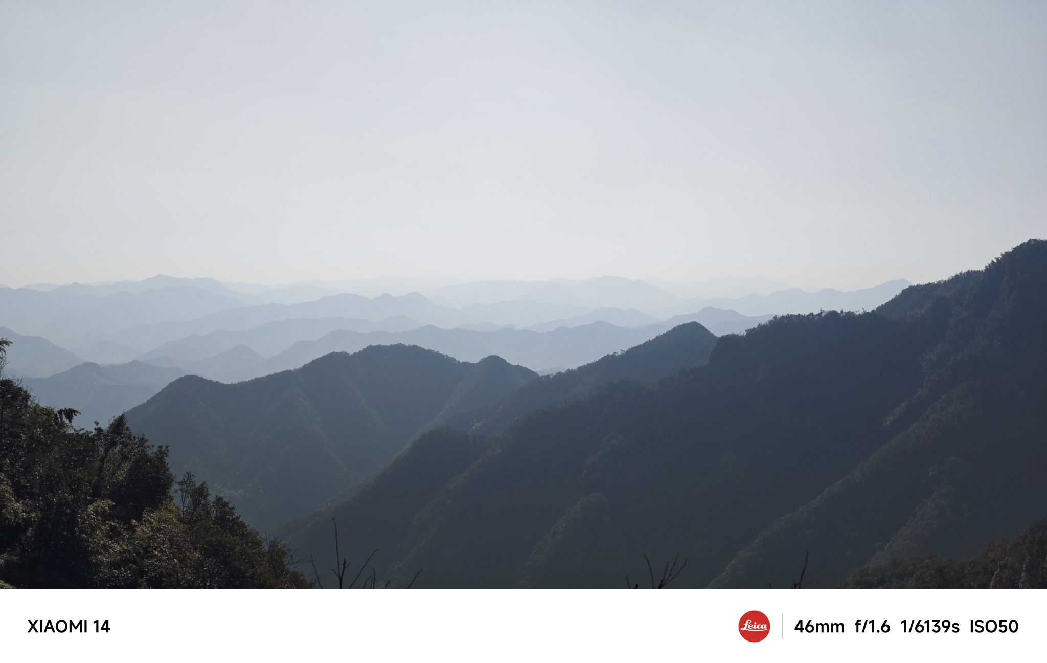 梓坞山森林公园游步道旅行图片 1