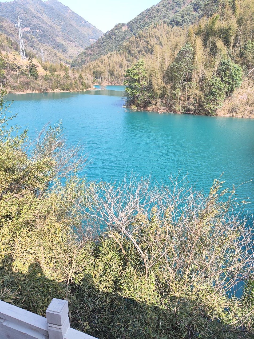 梓坞山森林公园游步道旅行图片 1