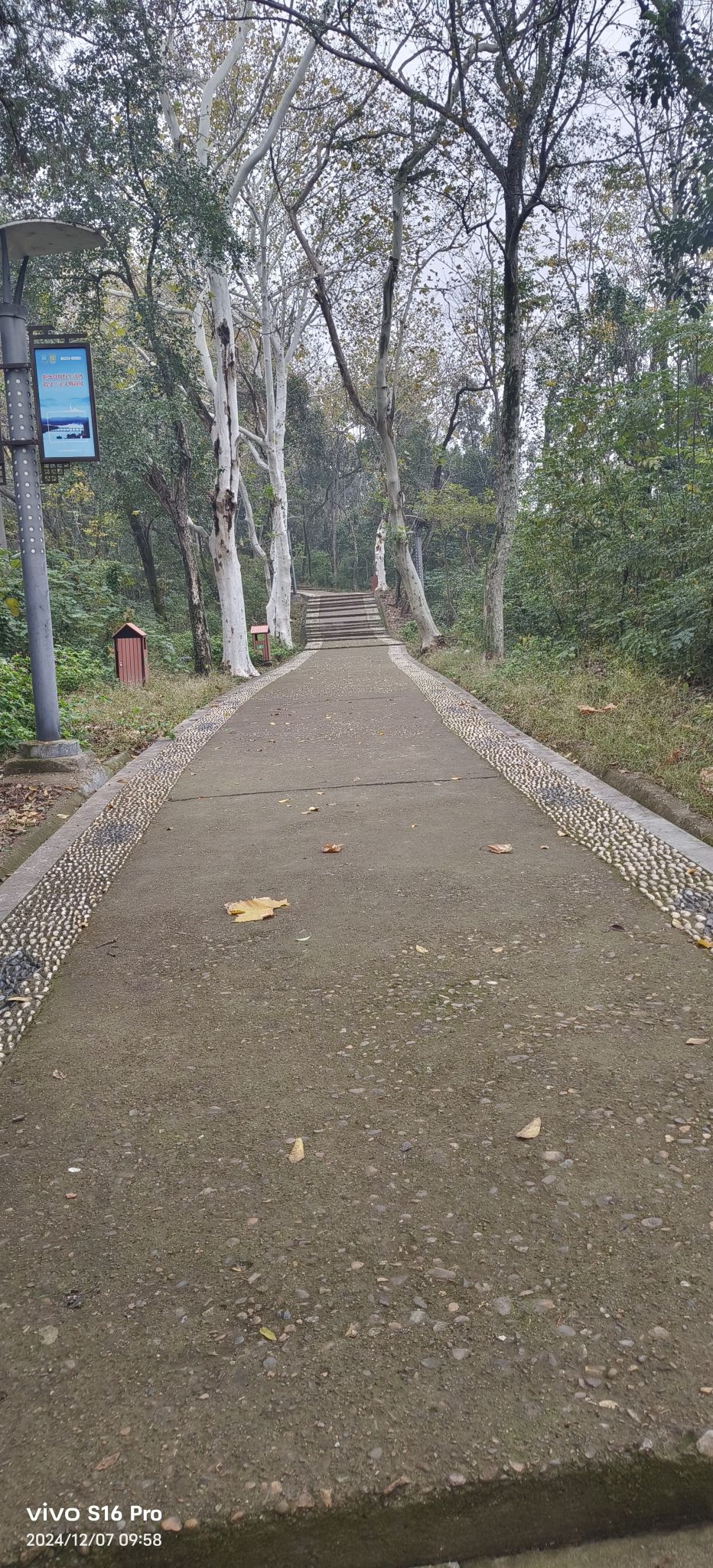 能仁塔旅行图片 3