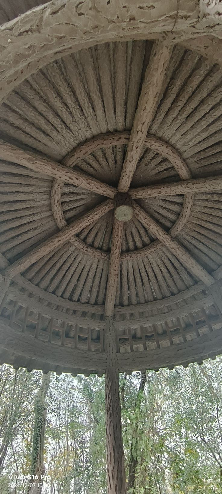 能仁塔旅行图片 2