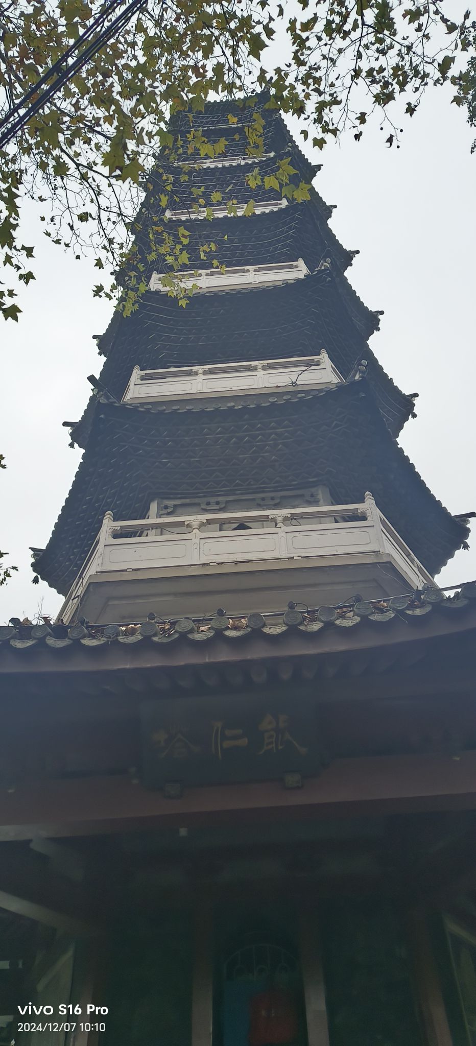 能仁塔旅行图片 1