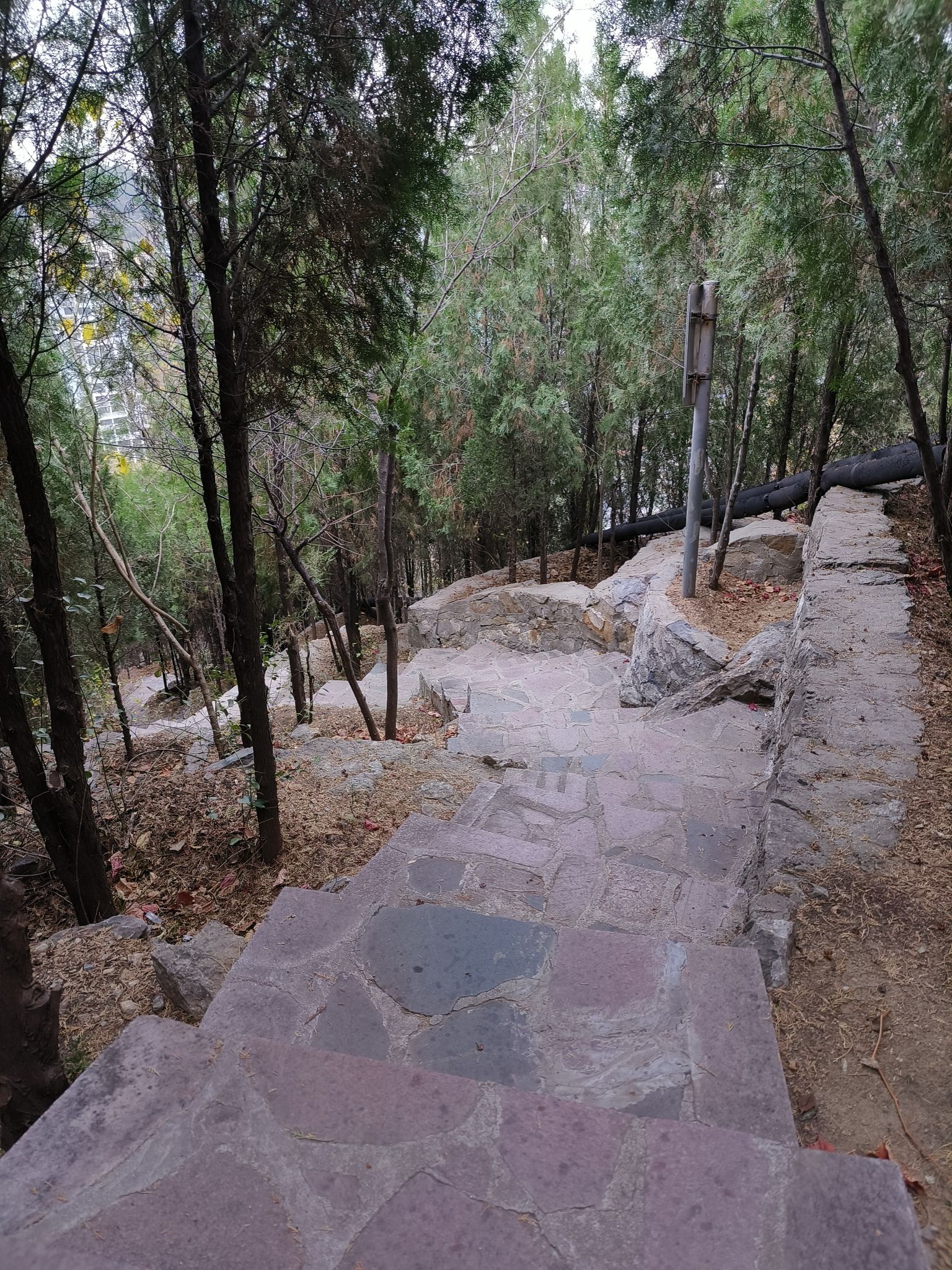 燕翅山公园旅行图片 2