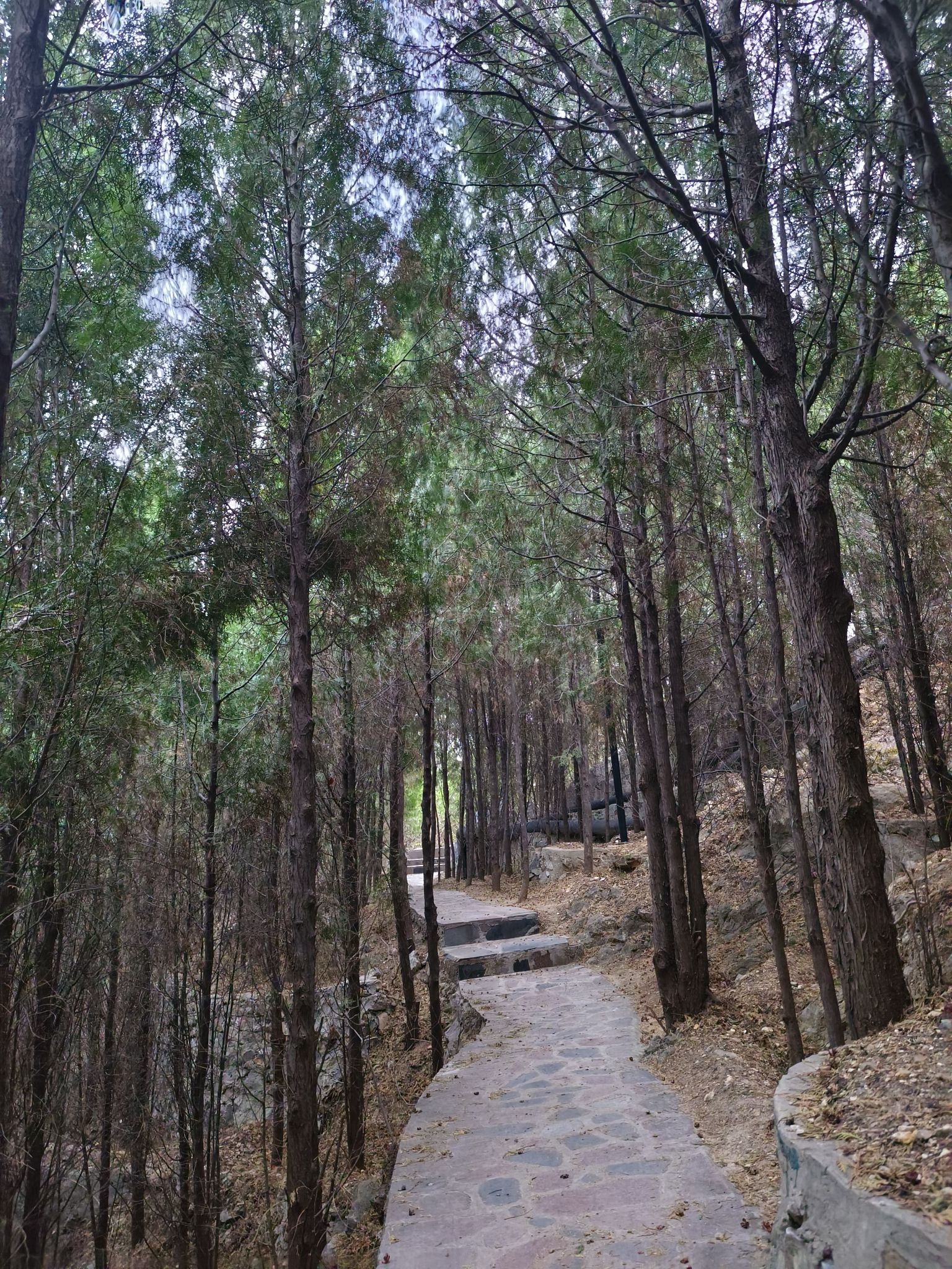燕翅山公园旅行图片 1