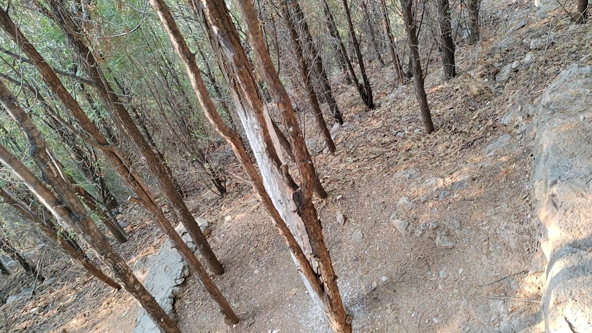 燕翅山公园旅行图片 3