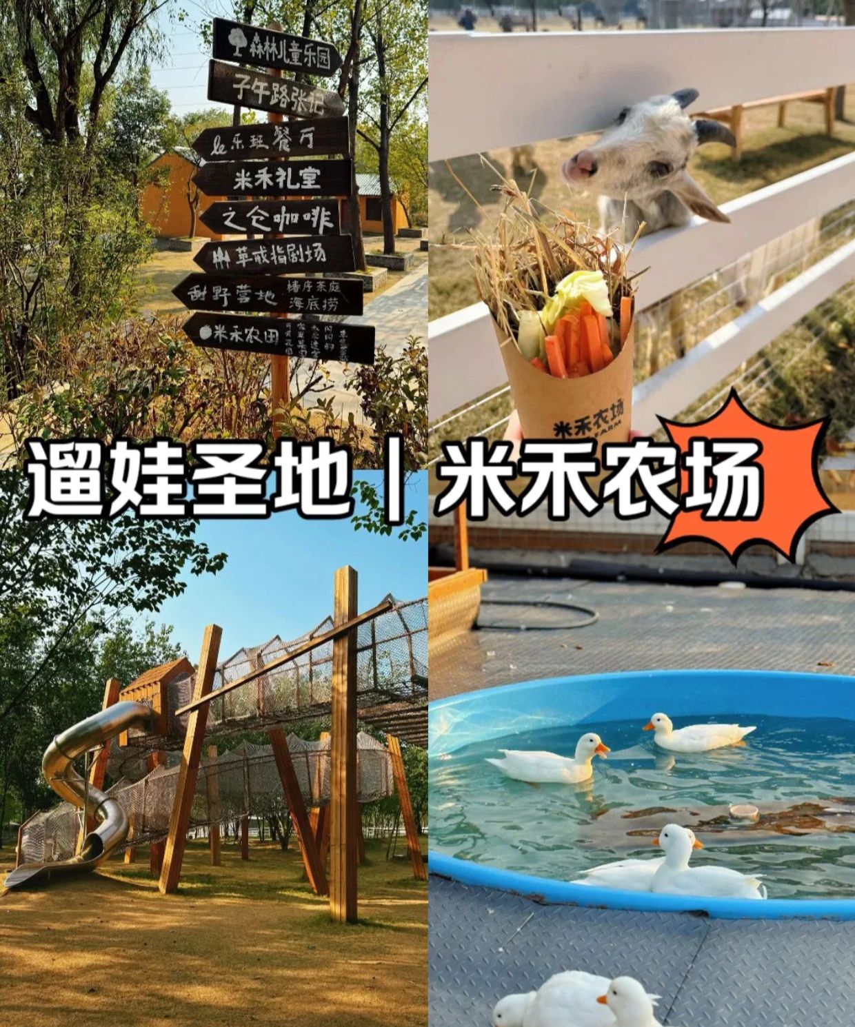 场地封面-米禾农场