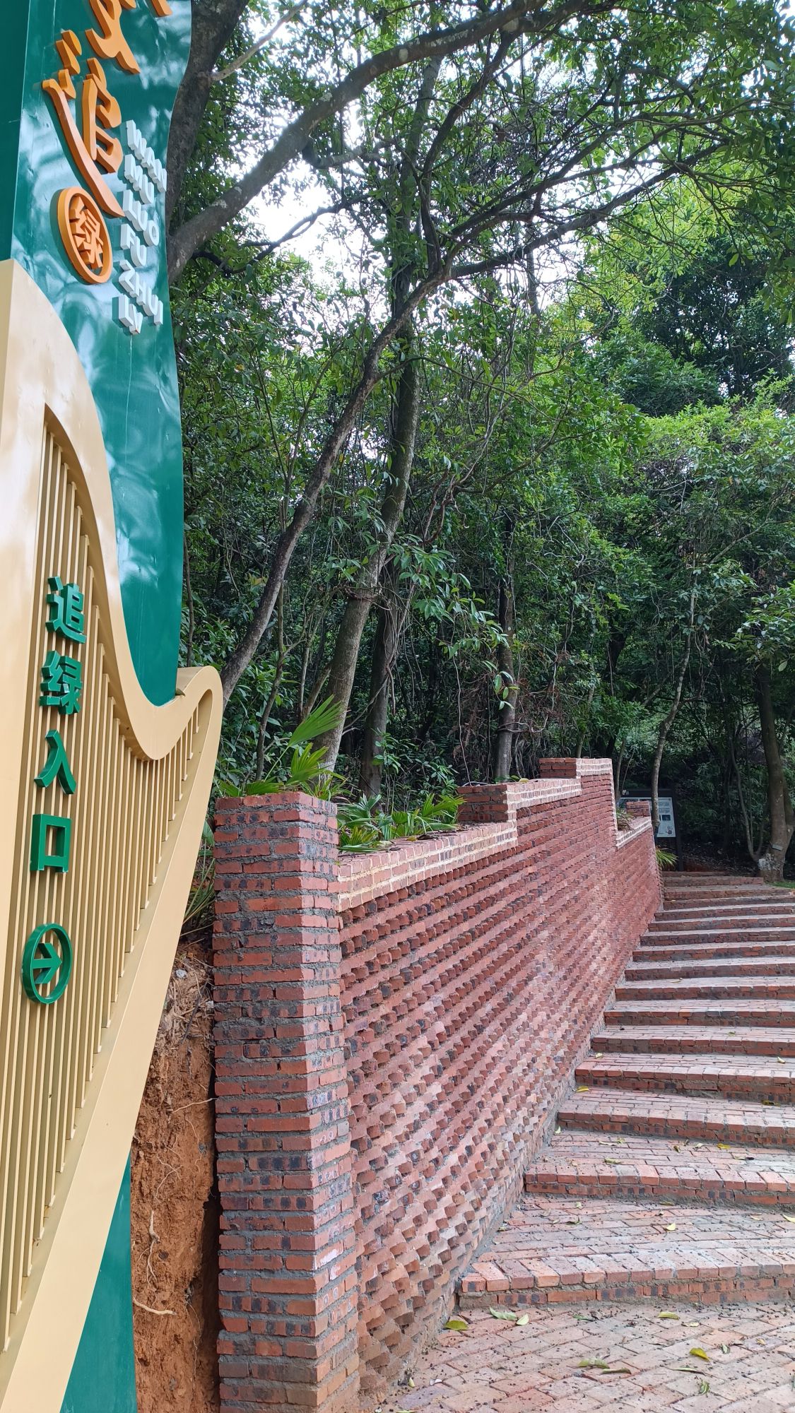 万亩罗浮追绿登山绿道旅行图片 3