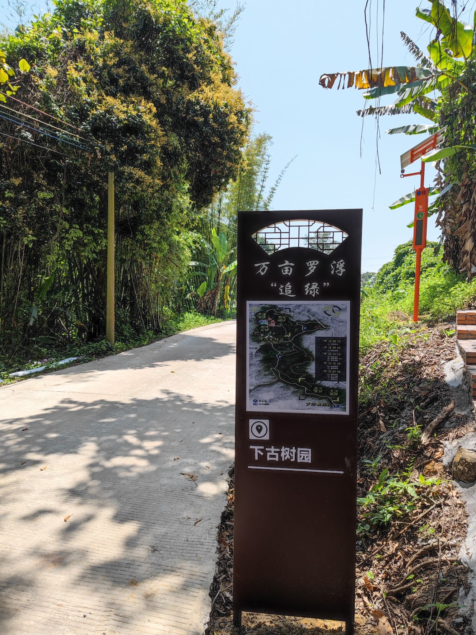 万亩罗浮追绿登山绿道旅行图片 2