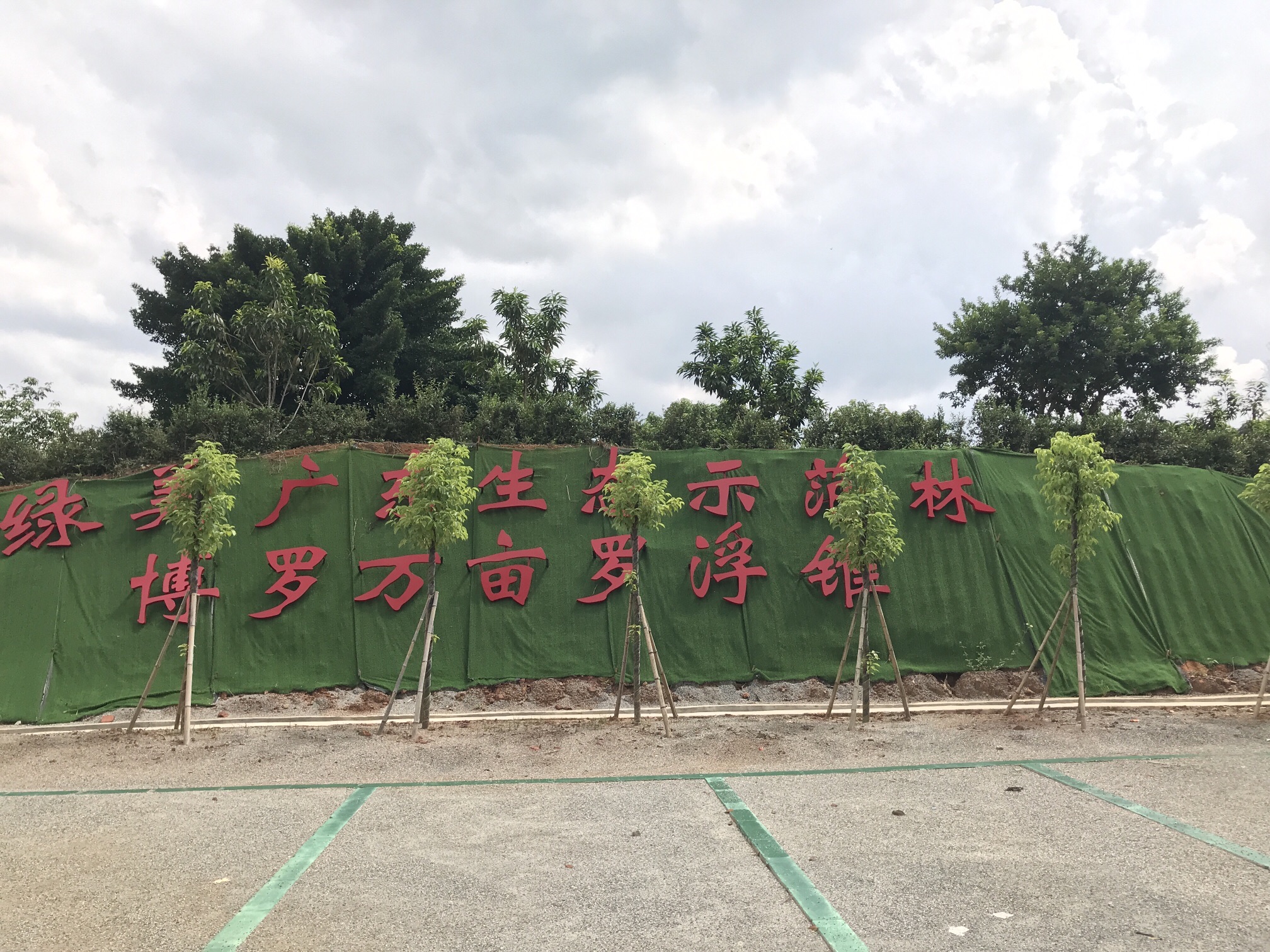 万亩罗浮追绿登山绿道旅行图片 1