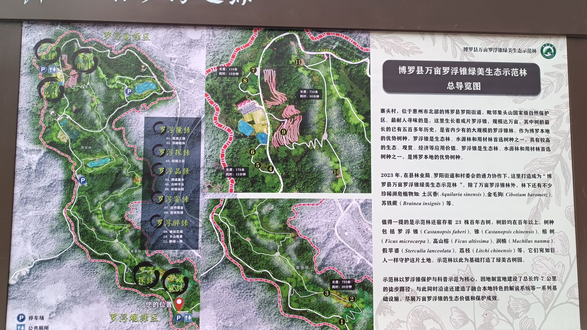 万亩罗浮追绿登山绿道旅行图片 2