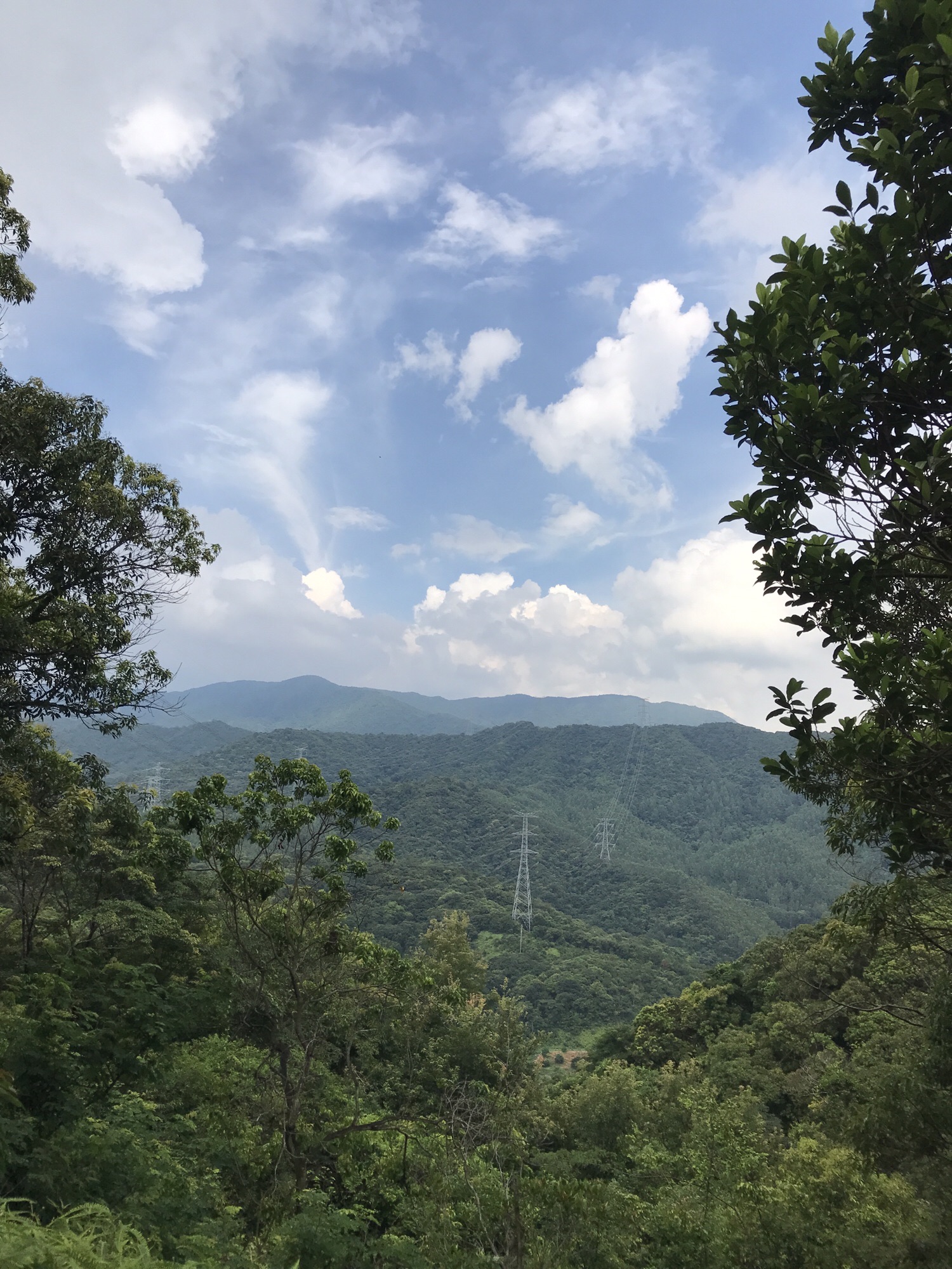万亩罗浮追绿登山绿道旅行图片 2