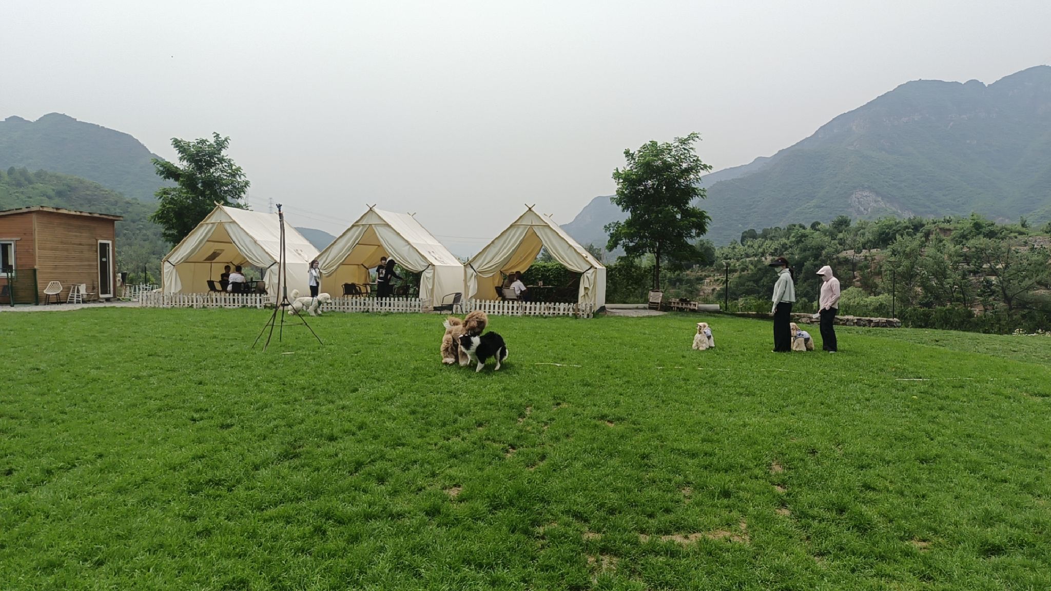 场地封面-红石宠物主题营地(樱桃沟店)