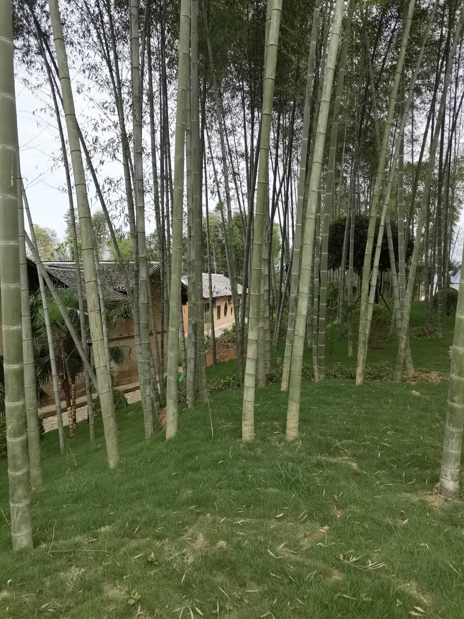 李六如故居旅行图片 3