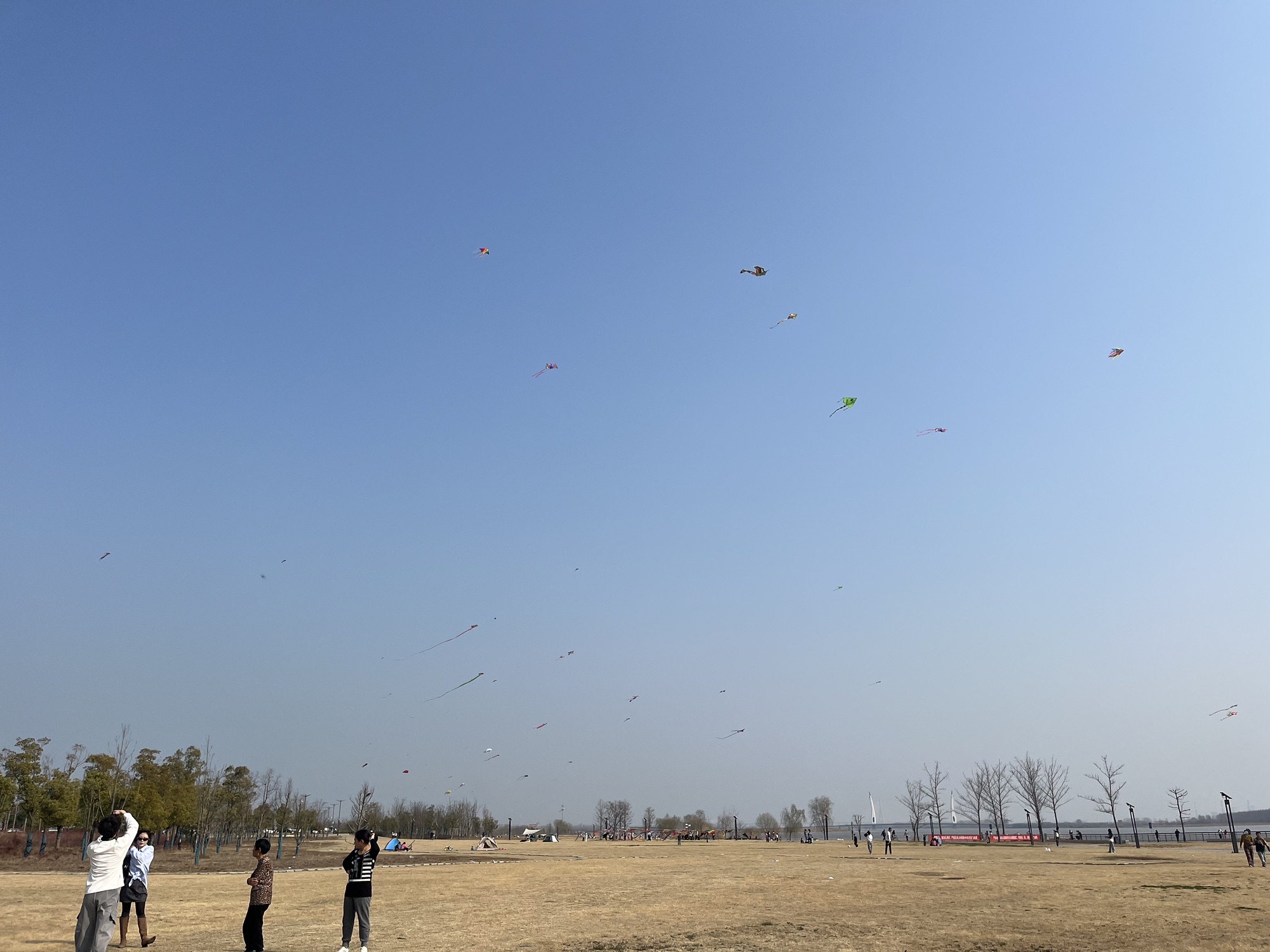 龙游湾生态景观带旅行图片 1