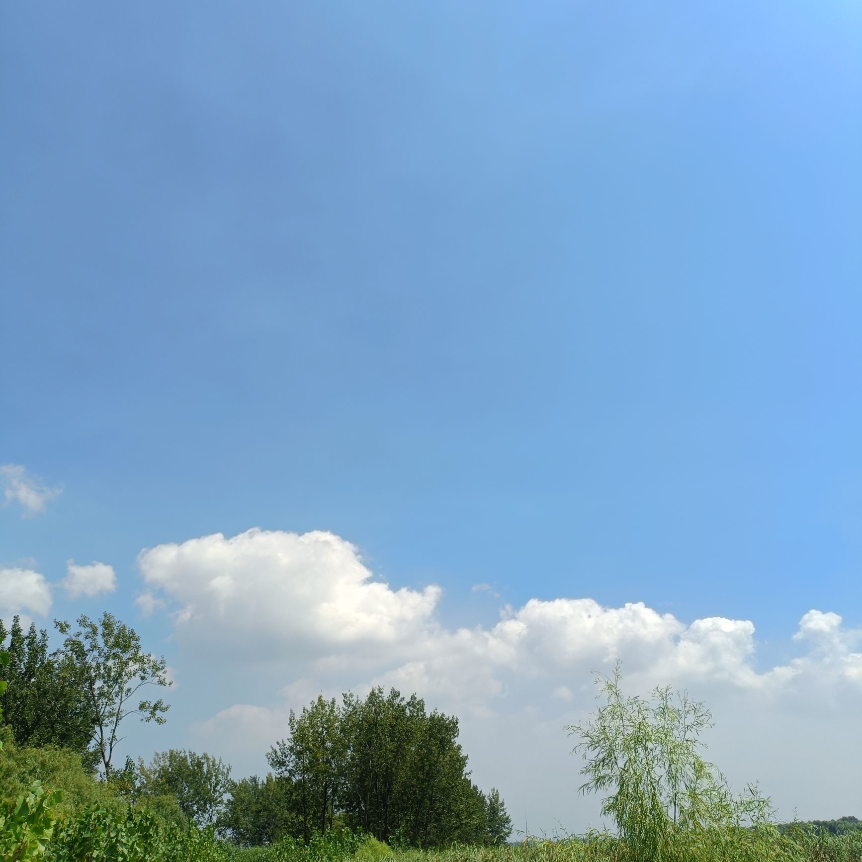 龙游湾生态景观带旅行图片 3