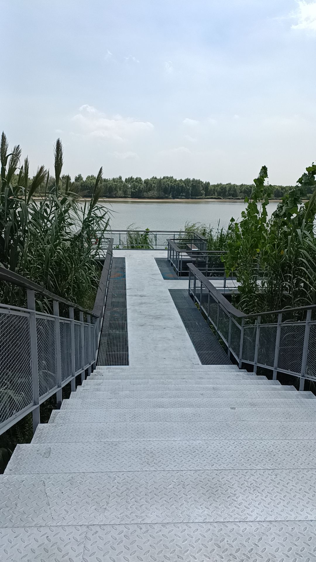 龙游湾生态景观带旅行图片 1