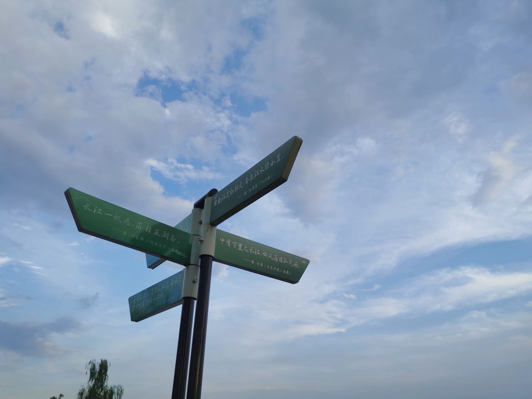 龙游湾生态景观带旅行图片 1